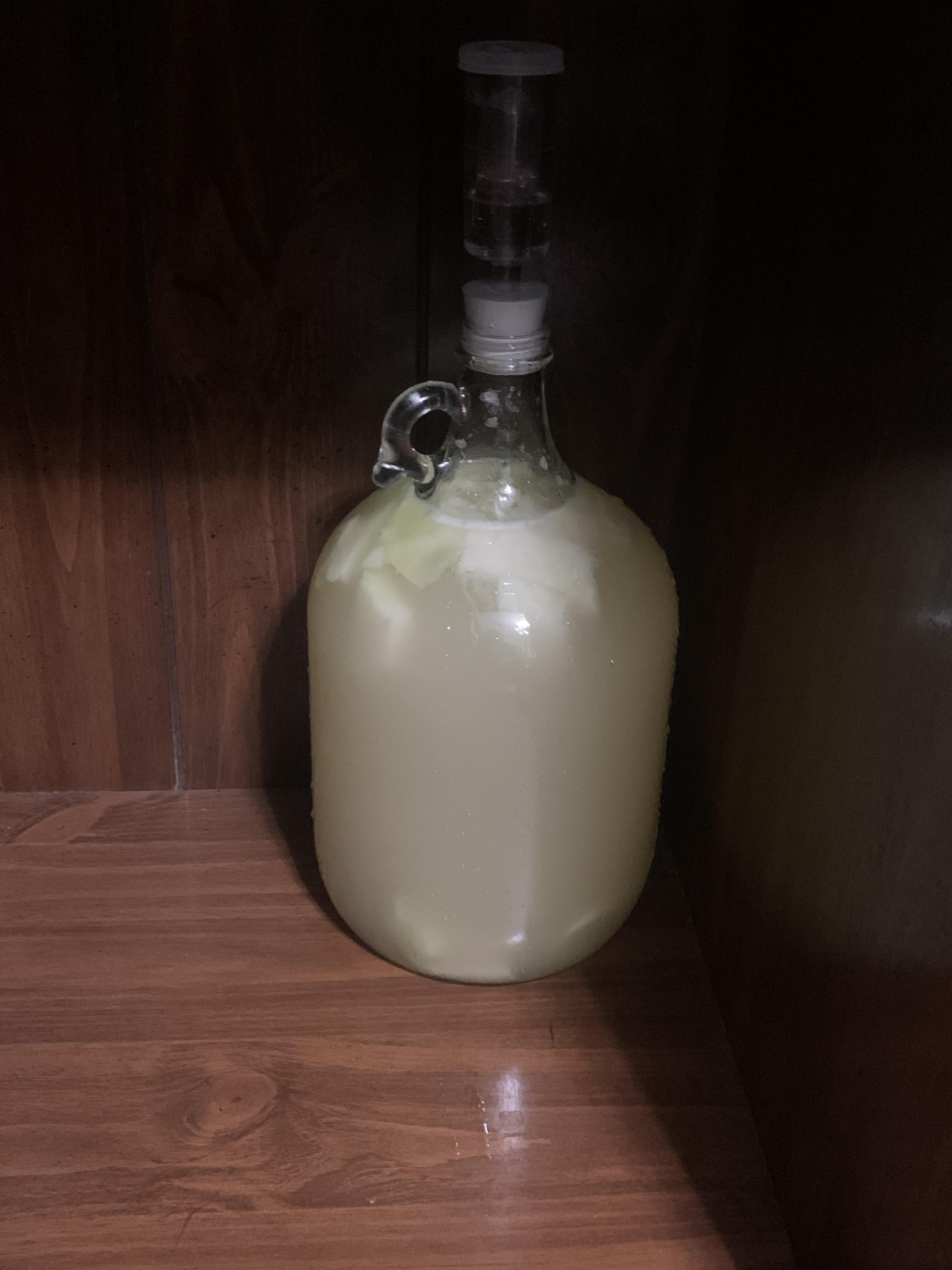 Done fermenting. Just racked with honey dew melon. r/mead