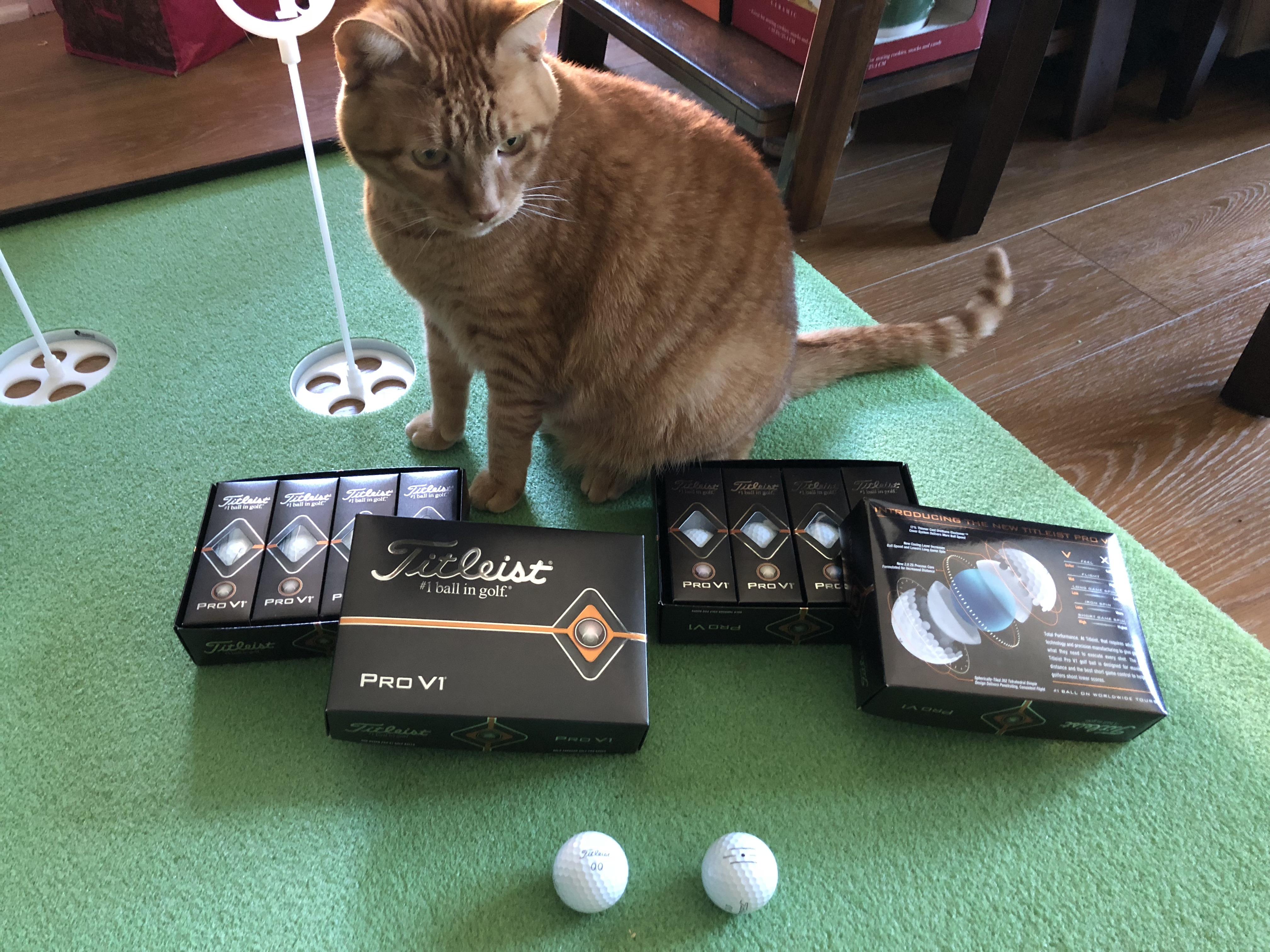Expensive cat toys have arrived r/golf