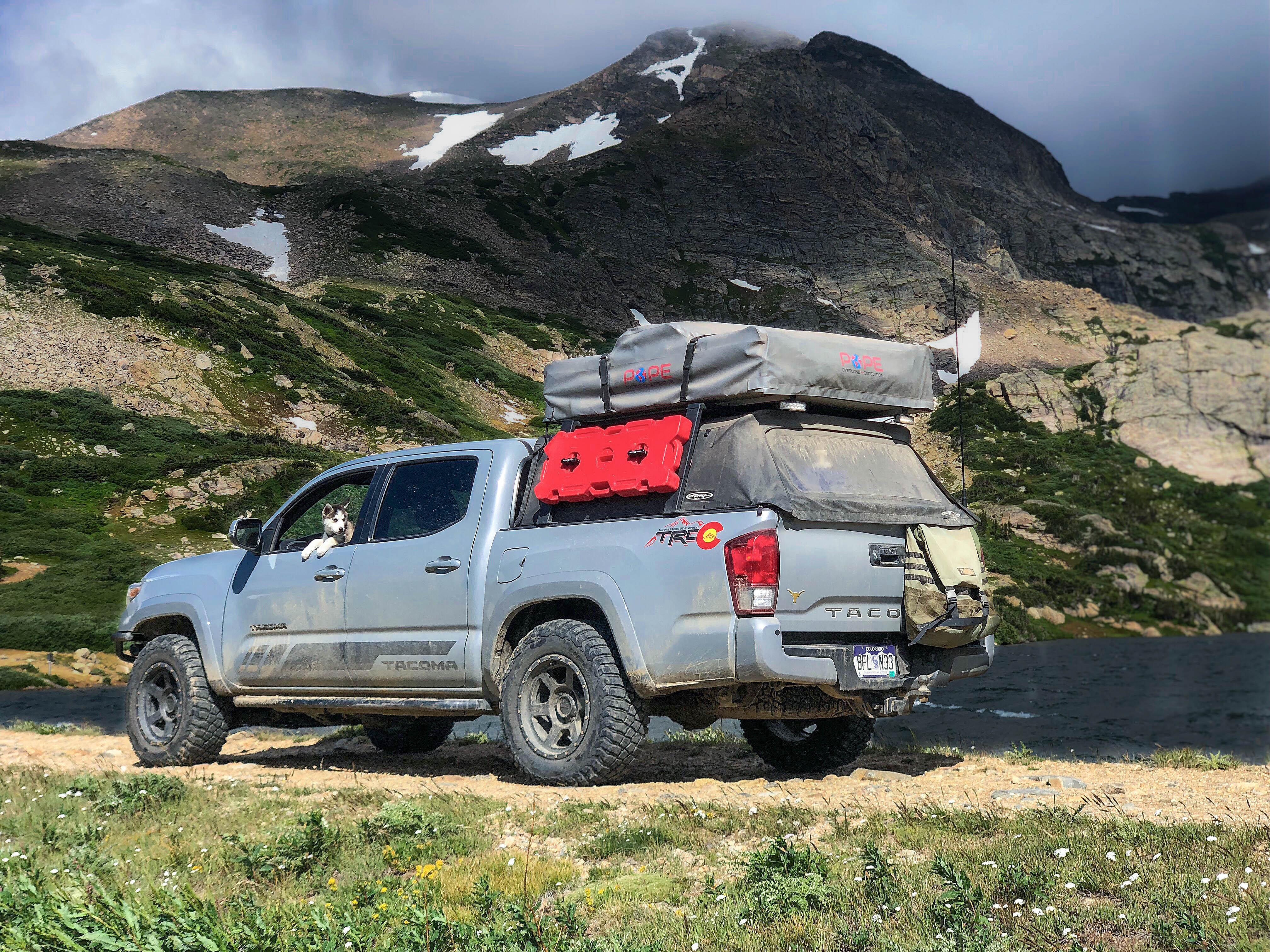 Dog owners Does your dog sleep in the car, or in your tent with you