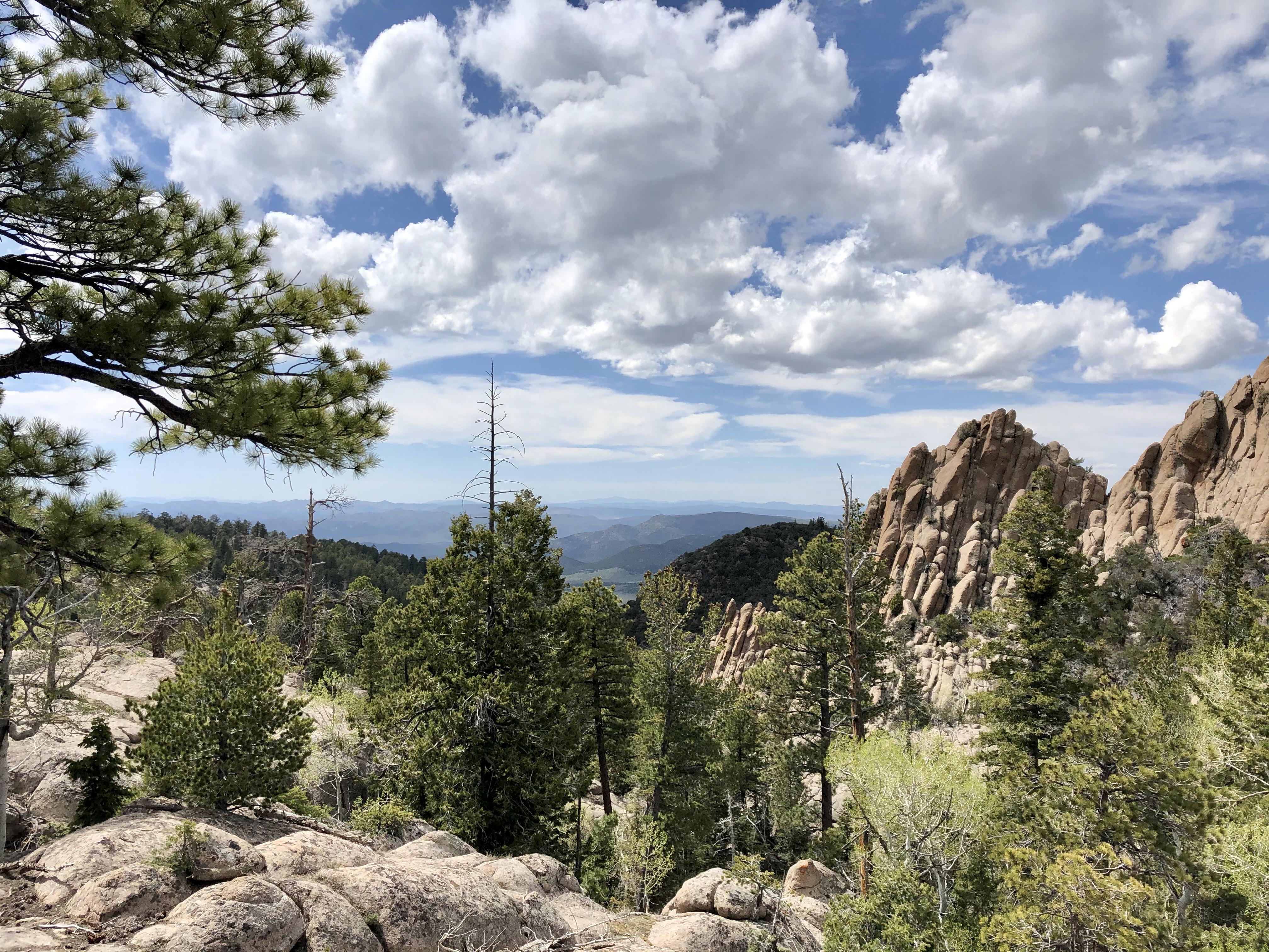 Gardner Peak Trail, Pine Valley, UT r/hiking