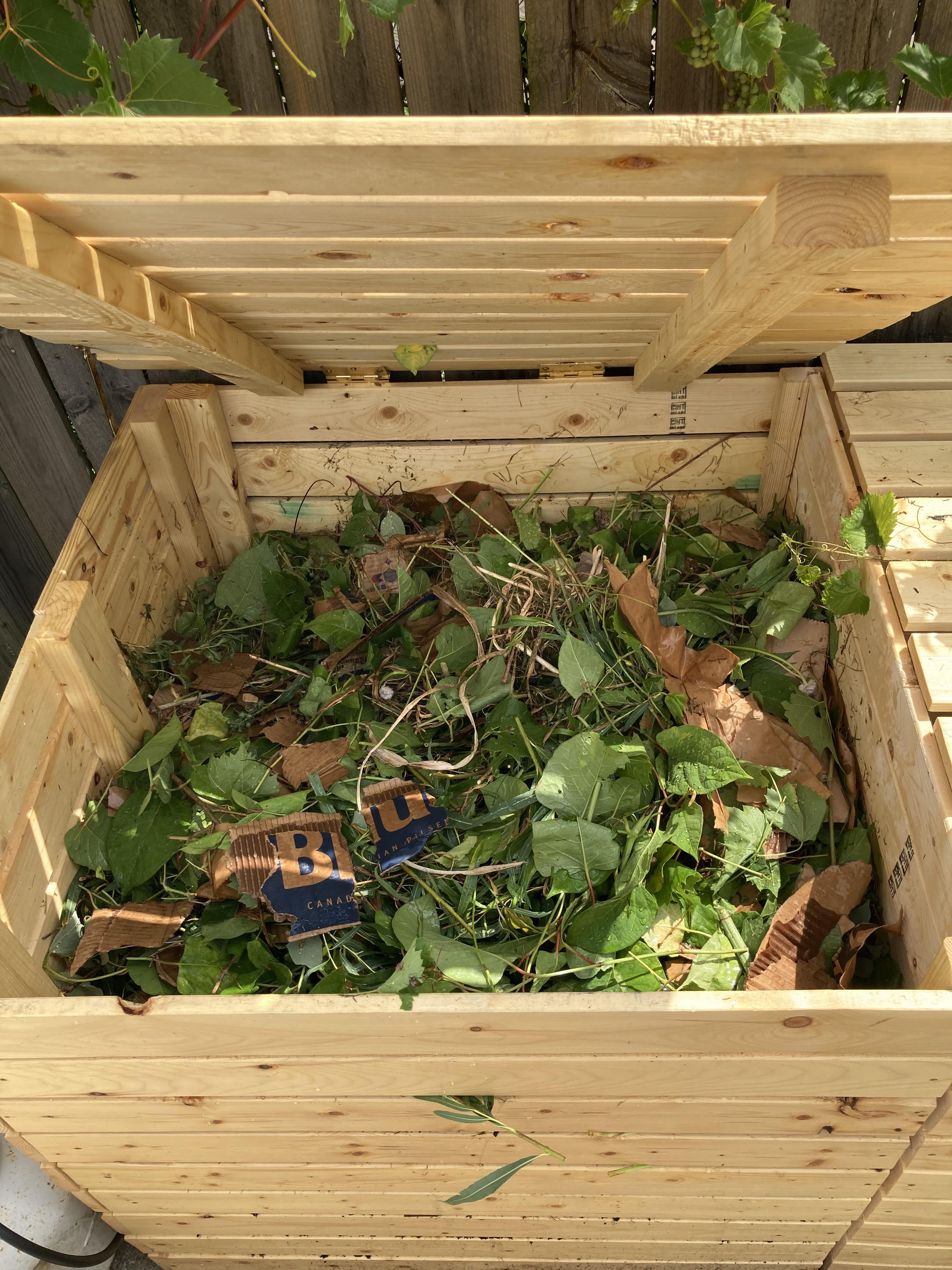 First ever full(ish) compost bin, ready for the spring of 2021! And the