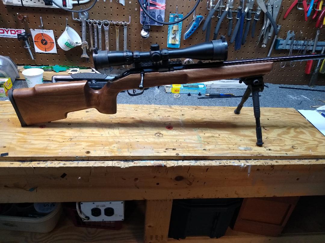 My Ruger American Rimfire with Boyd's Varmint walnut stock and Tasco 6