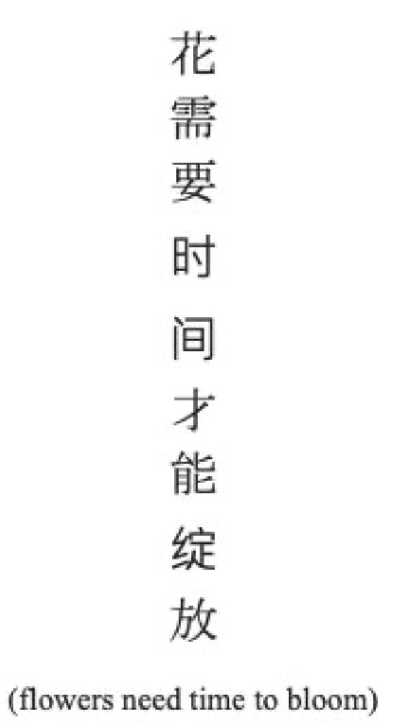 Chinese>English r/translator