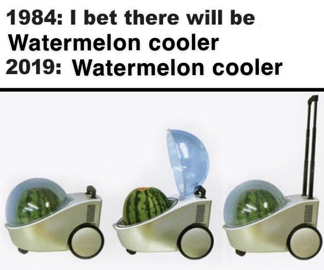 Watermelon cooler r/memes