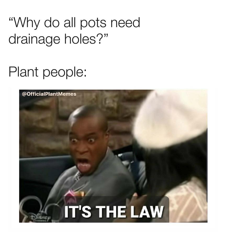 Why do all pots need drainage holes? r/houseplants