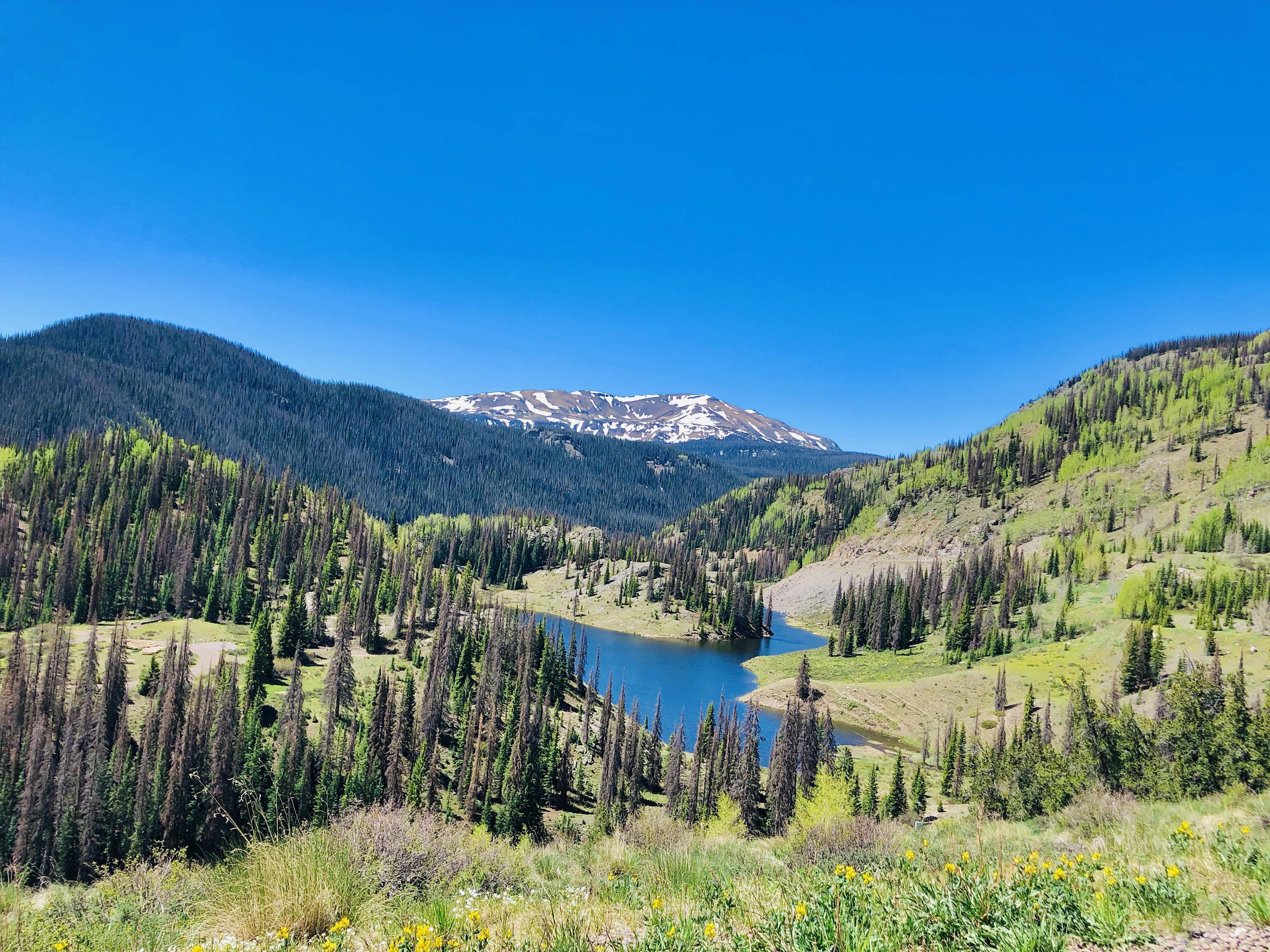 One of the most beautiful places i have been to. Platoro,colorado(oc