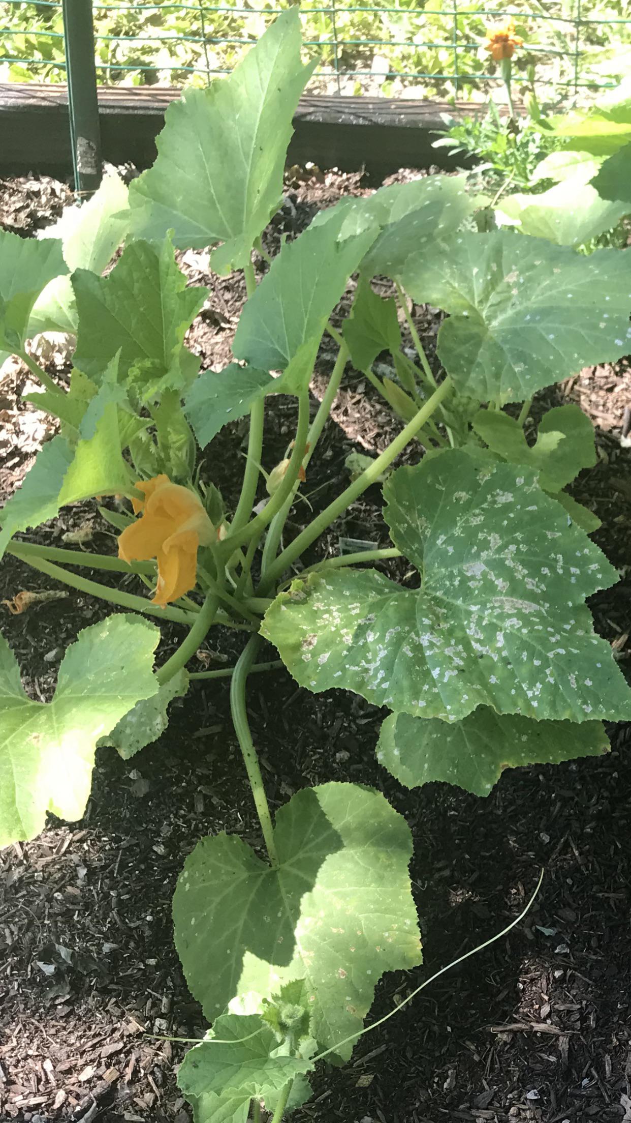 Could someone help me know how to identify and handle what’s going on