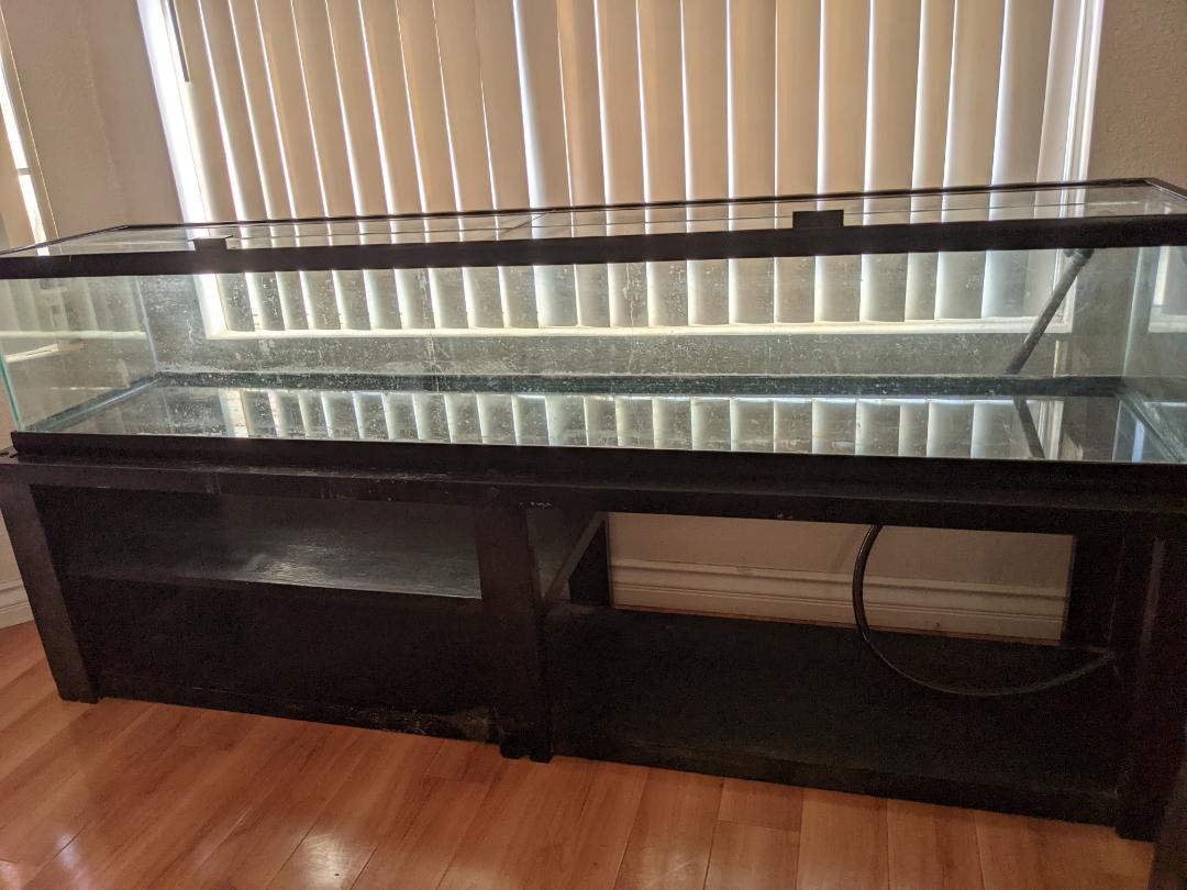 Picked up this unique custom tank. 72x15x12. Stocking Ideas? r/Aquariums