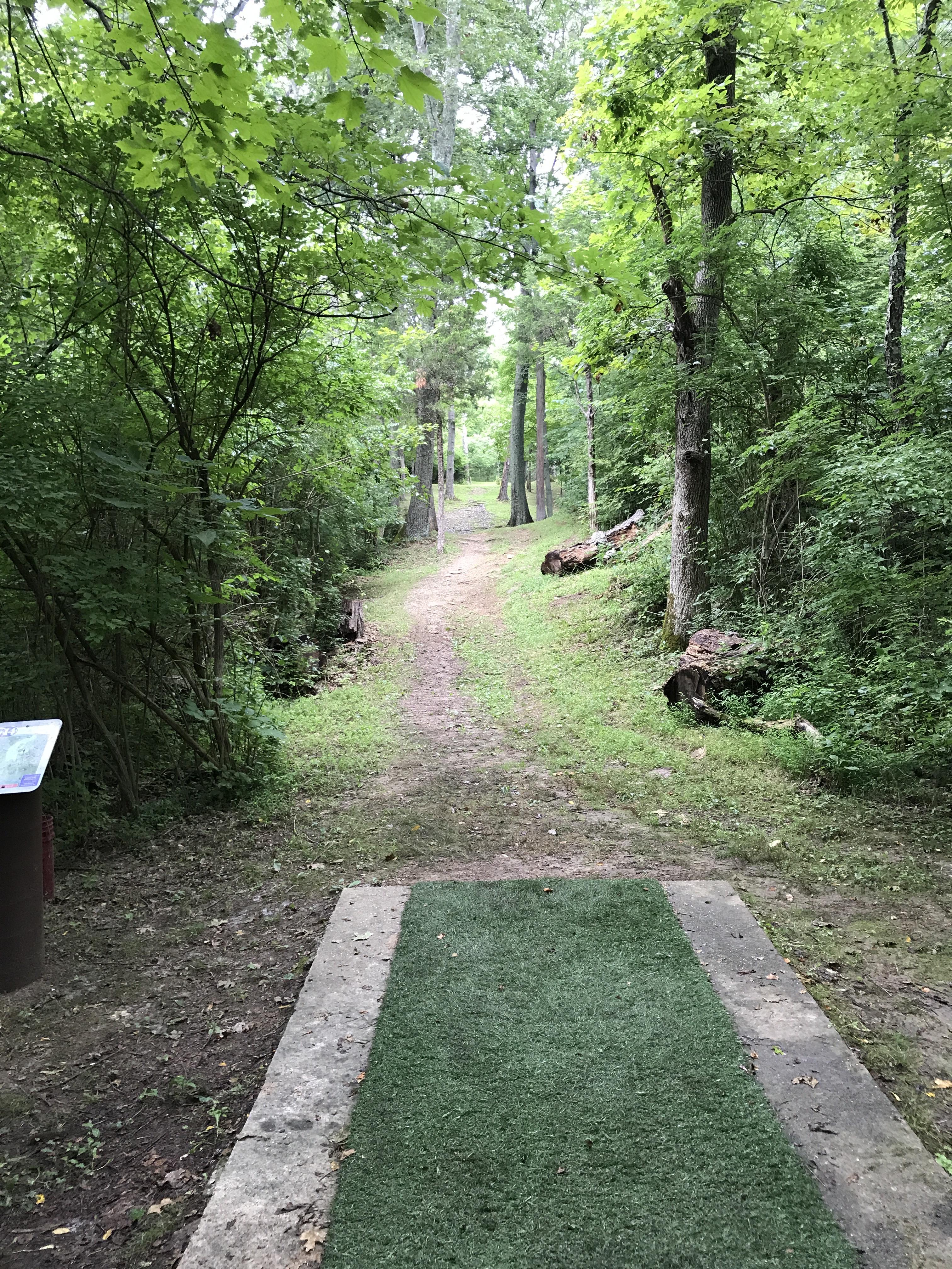 Hole 14, Idlewild, Burlington, KY. Tough tunnels. Lay ahead. r/discgolf