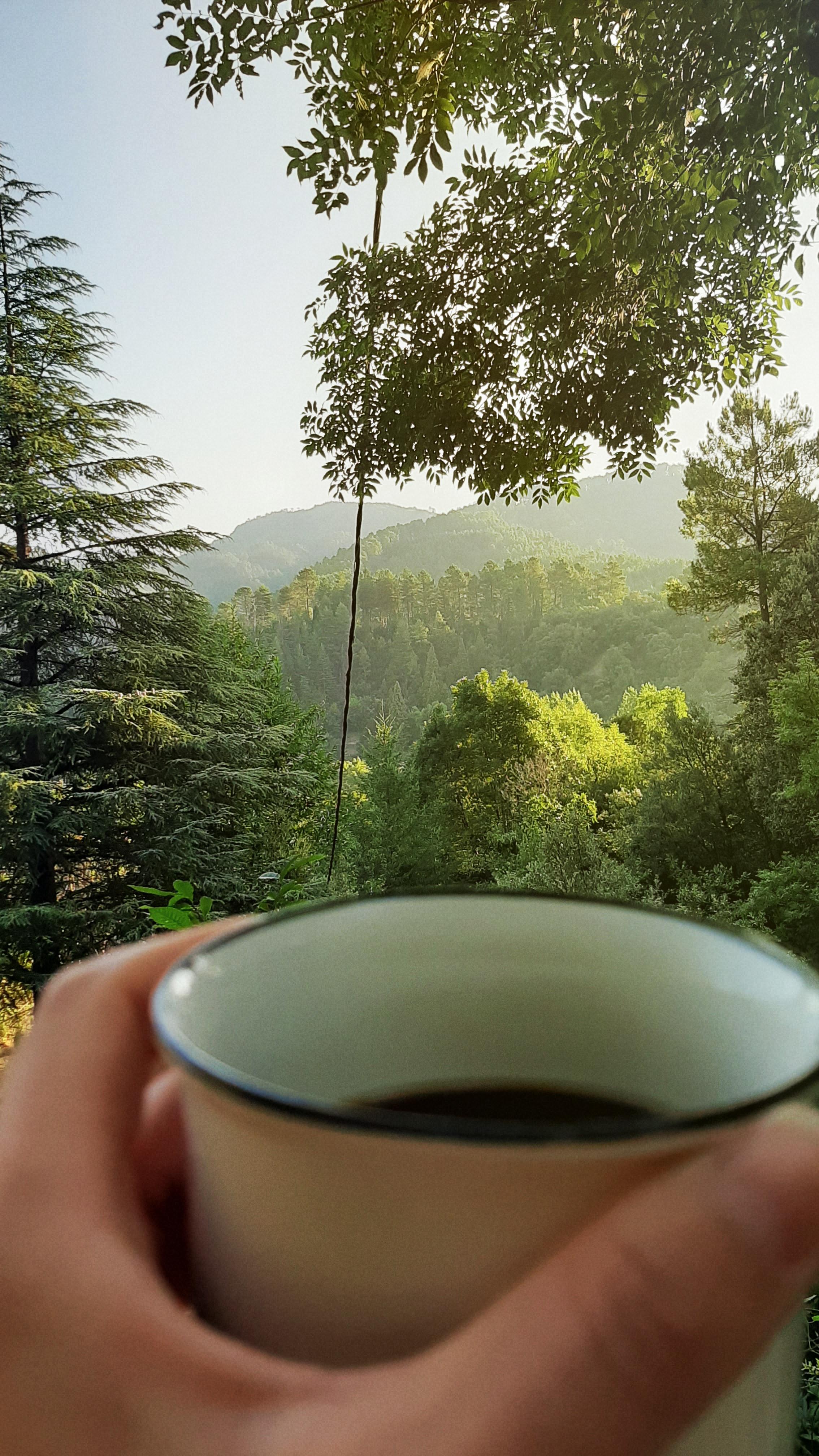 An early morning, drinking coffee and enjoying nature. My dream is to