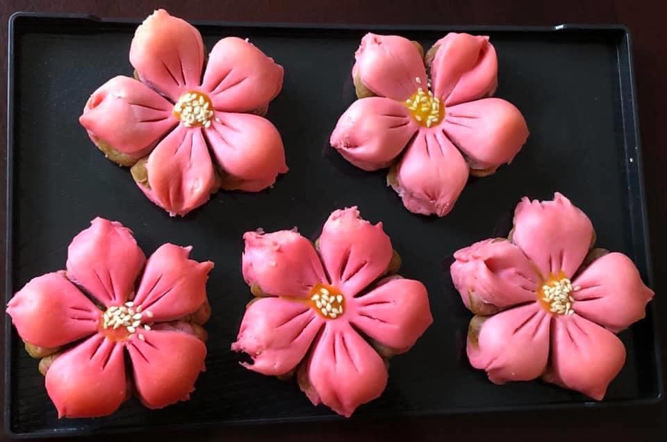 What are substitutes for lard and Monascus powder I can use for this