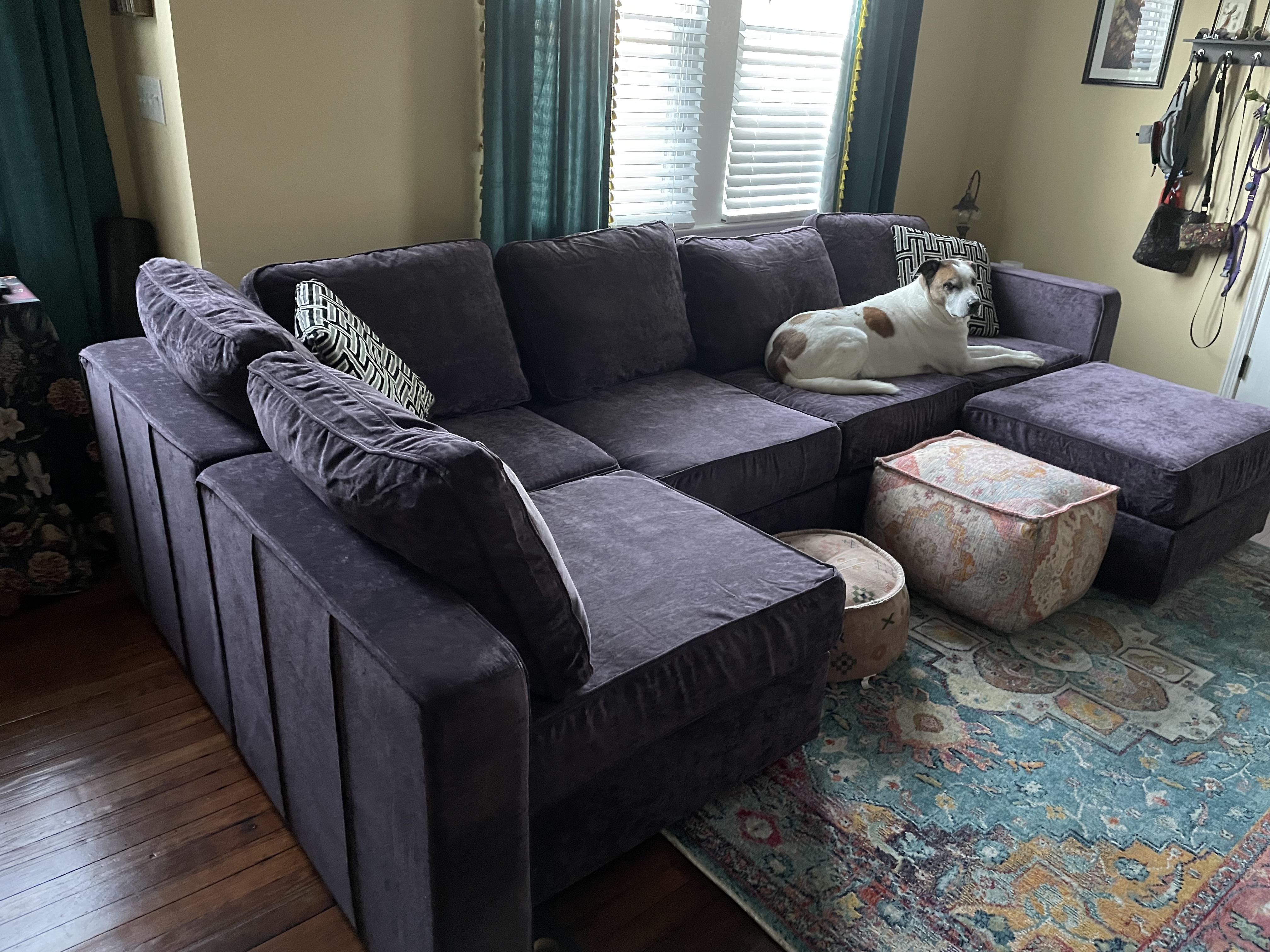 119 best Lovesac images on Pholder Lovesac, Aww and Costco
