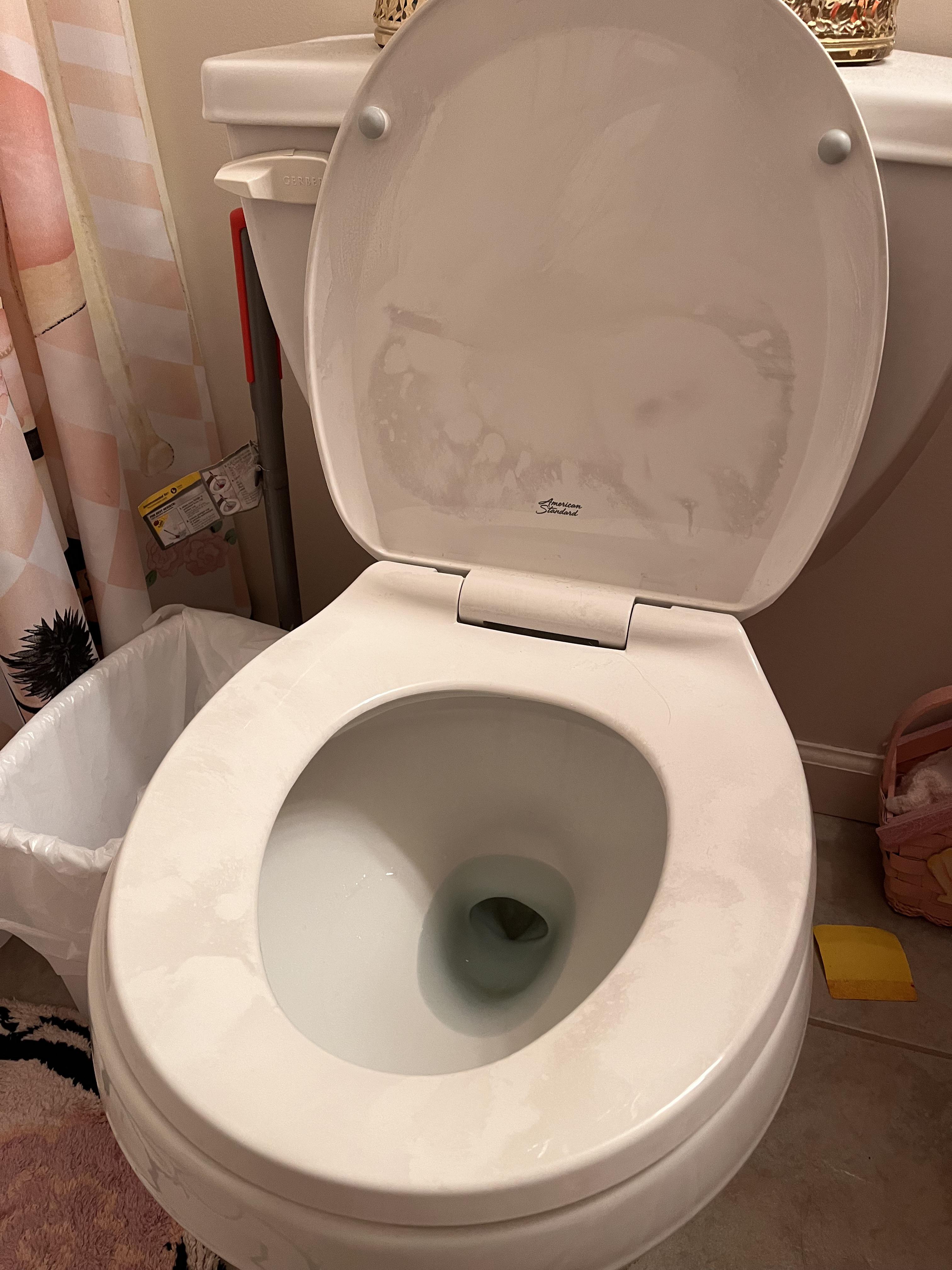 toilet seat