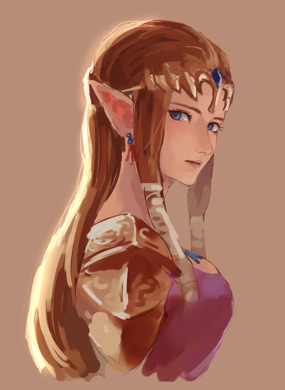 1212 best Princess Zelda images on Pholder Zelda, Breath Of The Wild