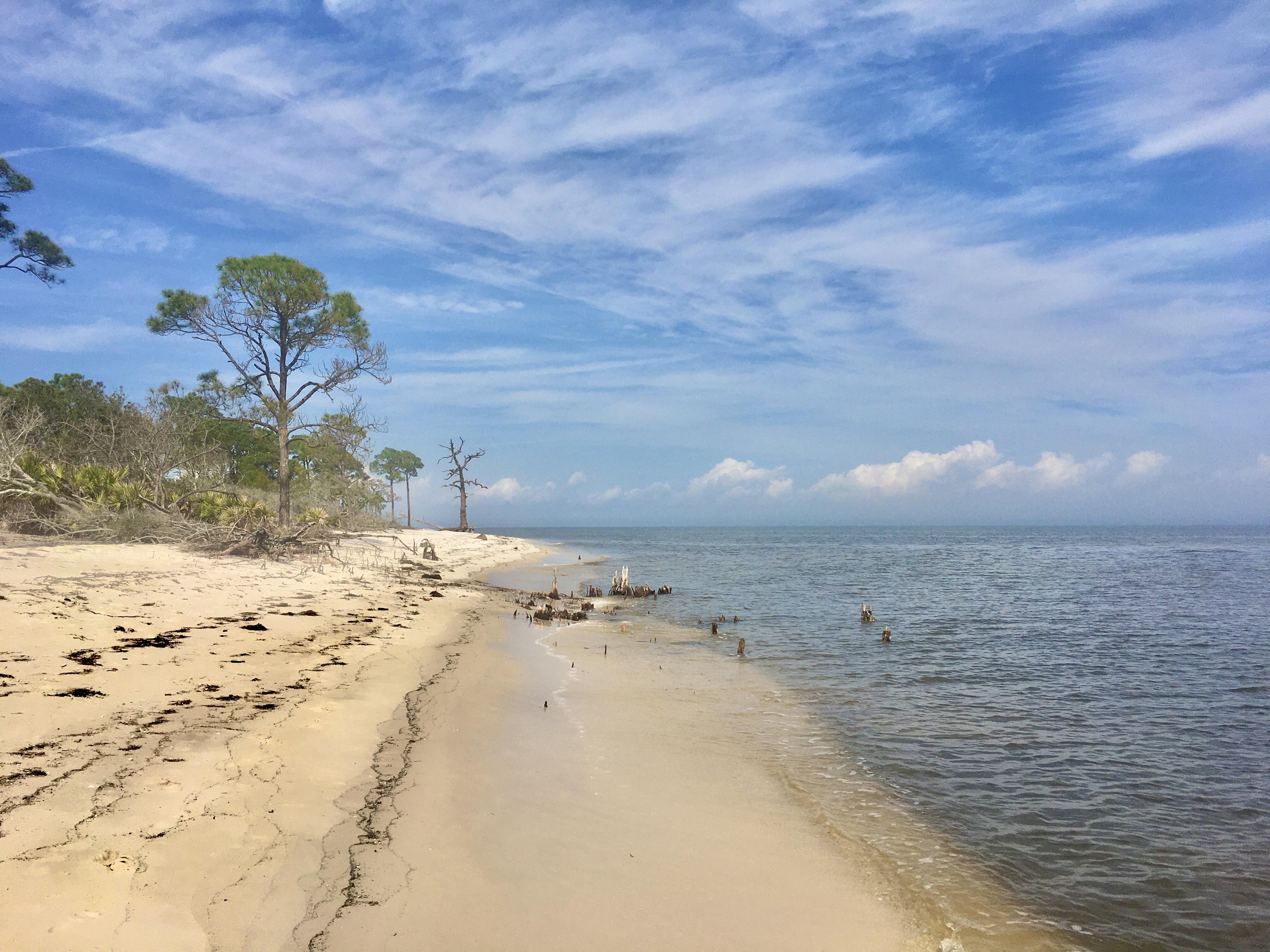 Bald Point, Coast, Florida r/Beachporn