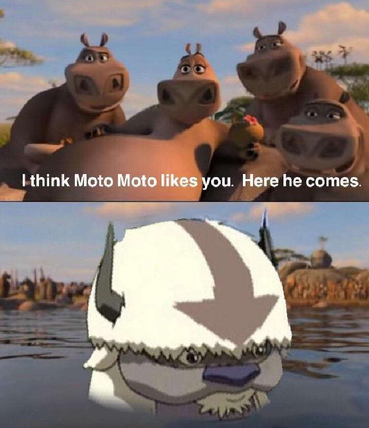 Alright this is my last Appa meme r/dankmemes