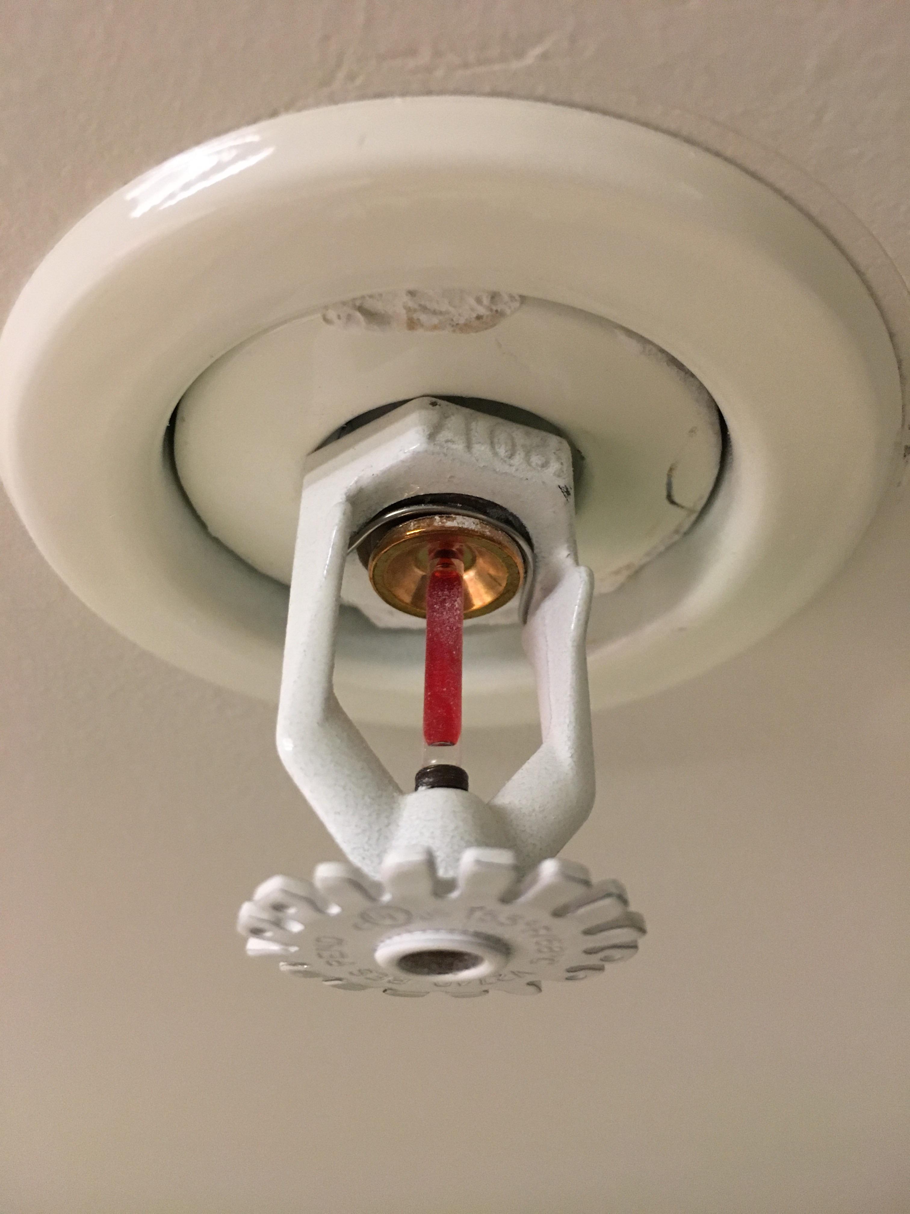 Where can I find a fire sprinkler cage in Vancouver ? r/vancouver