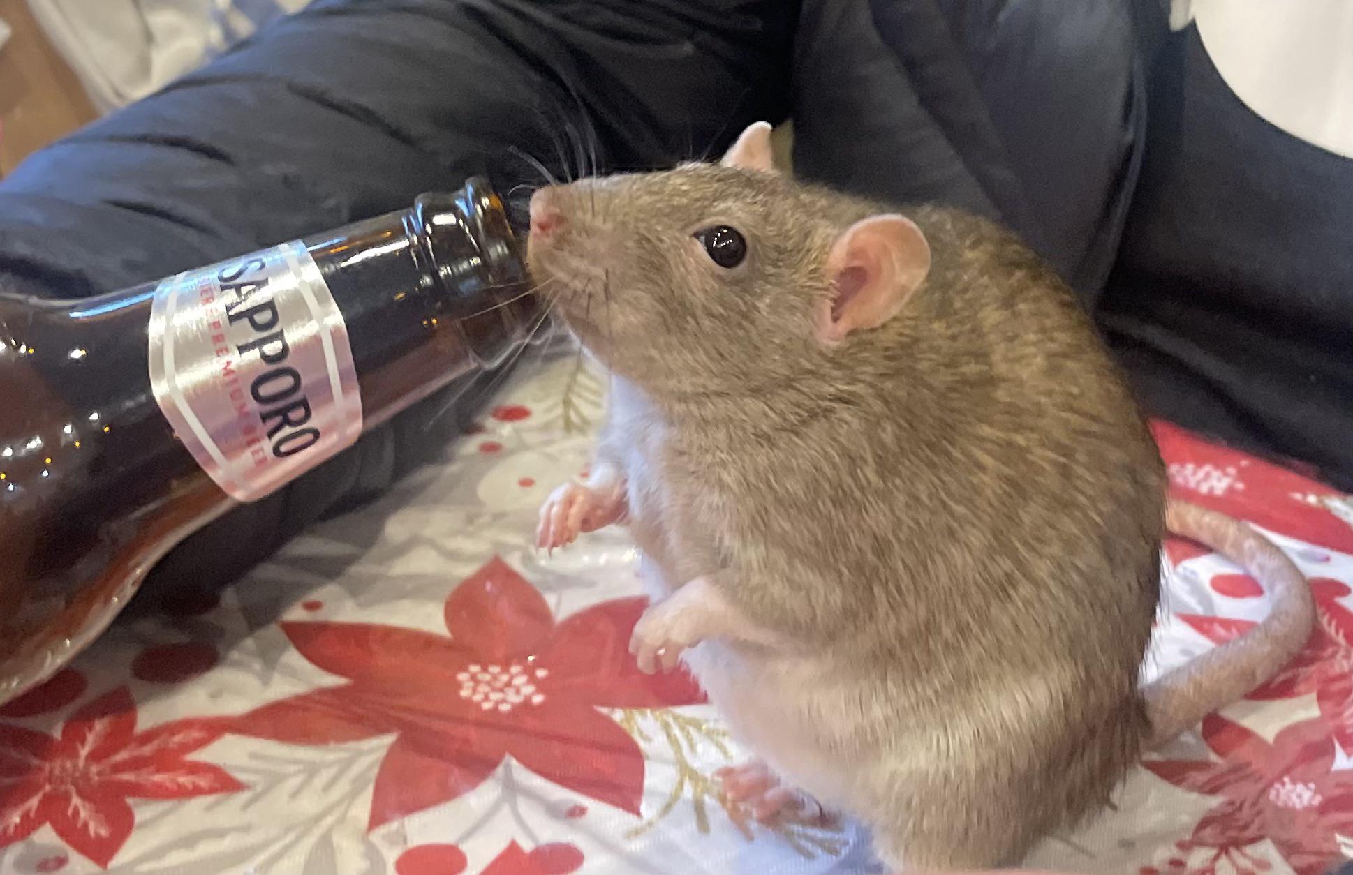 A Friday night wobbly pop 🍺 (Don’t worry she didn’t actually drink any