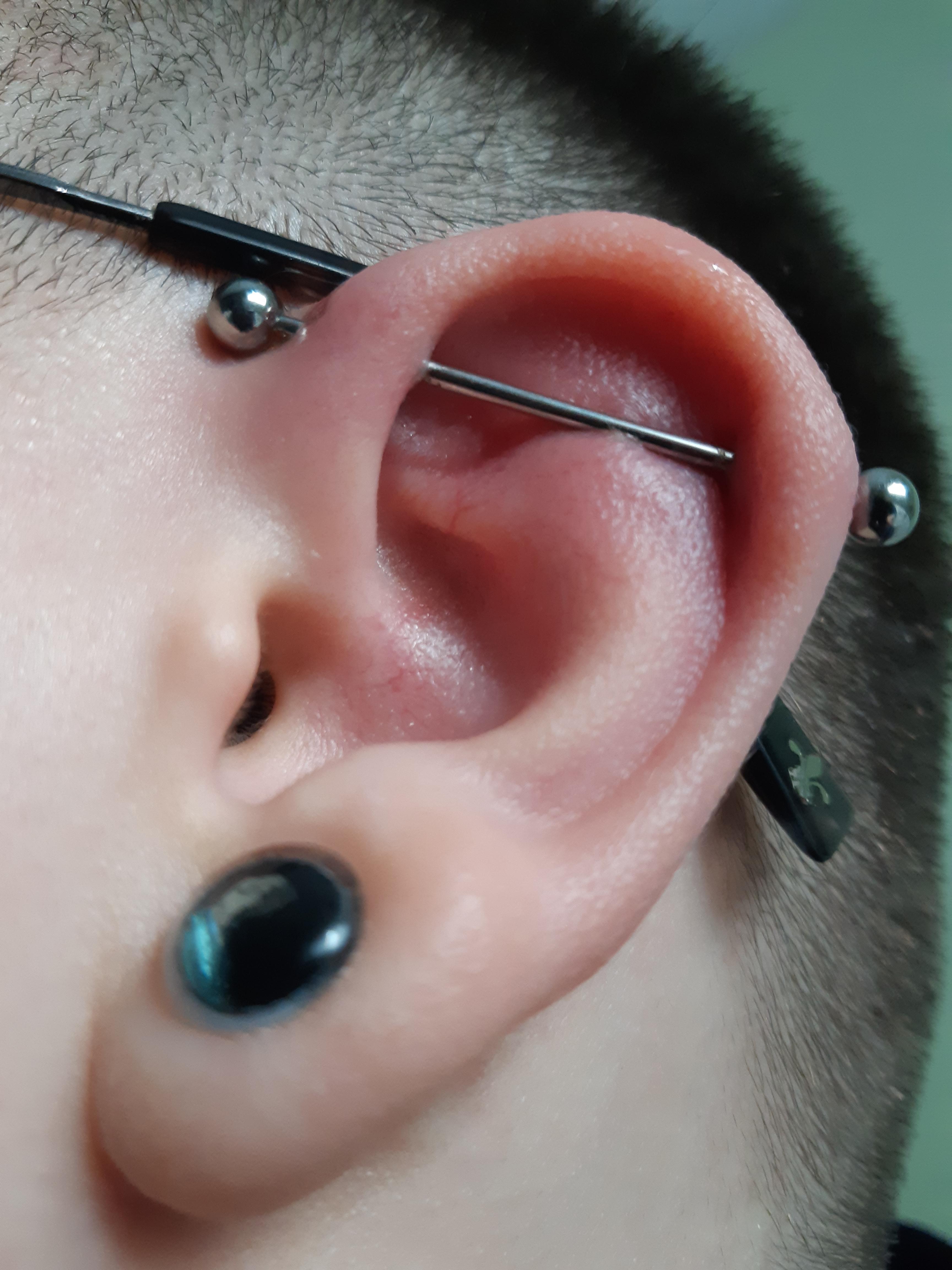 Got a new industrial piercing on the 19th, and it seems to now be