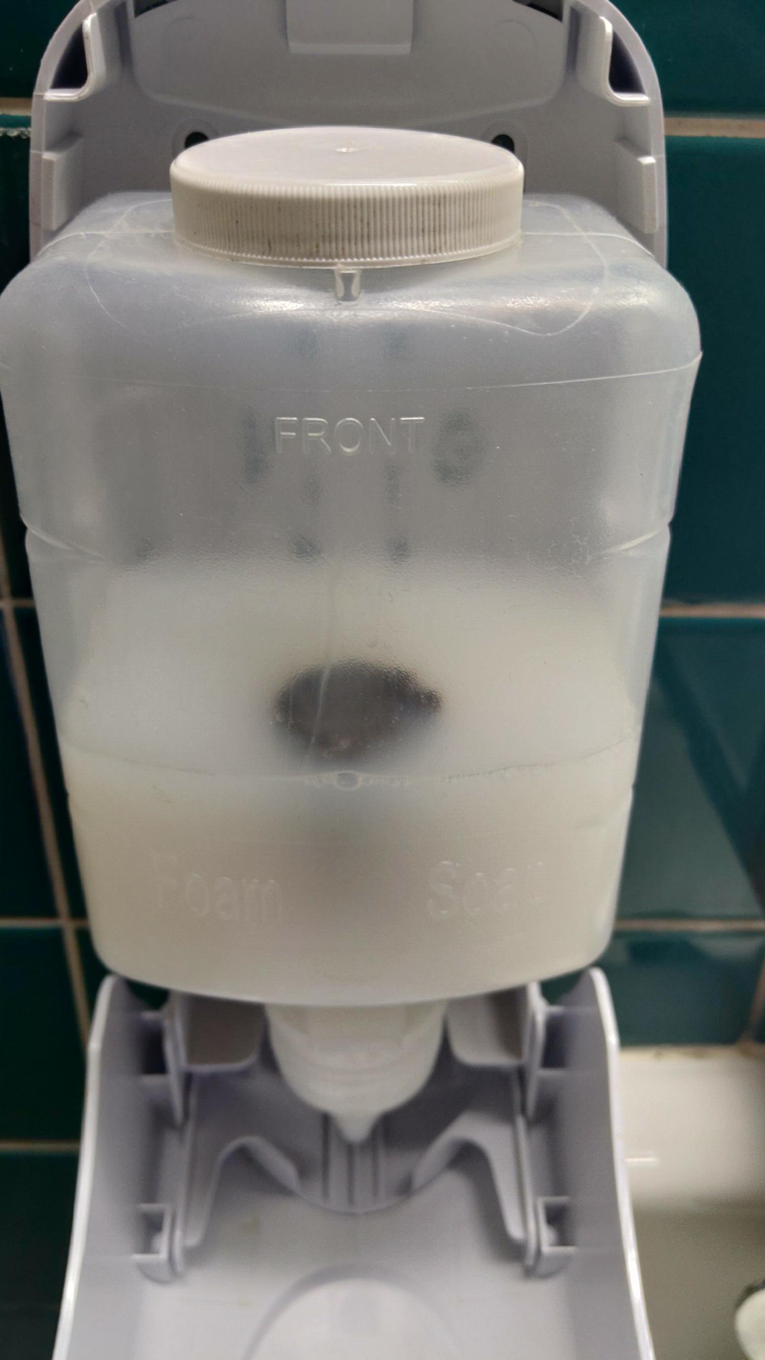 I saw this turd in my schools soap dispenser r/MakeMeSuffer