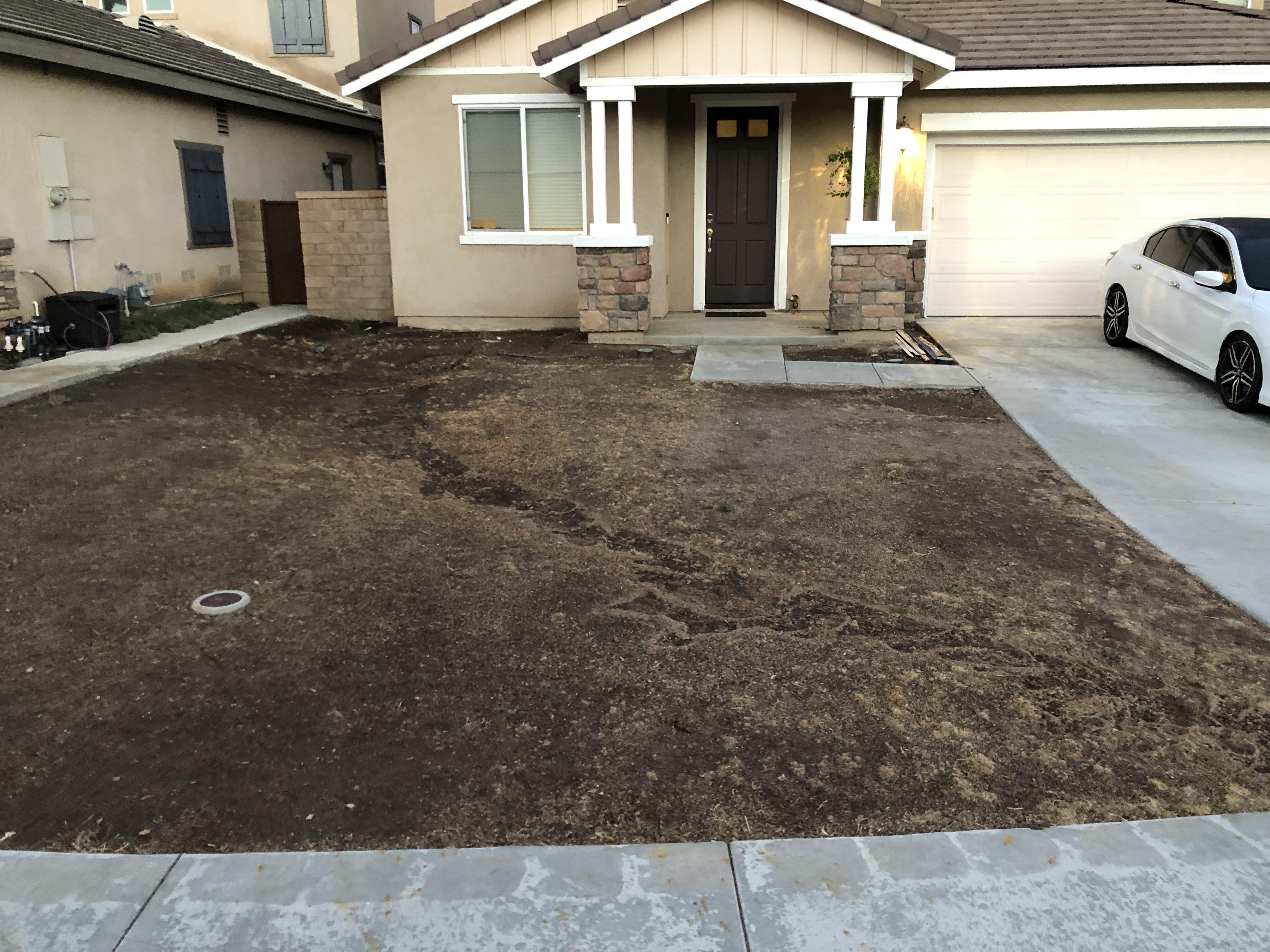 Just finished our back yard and now need ideas for the front. Was