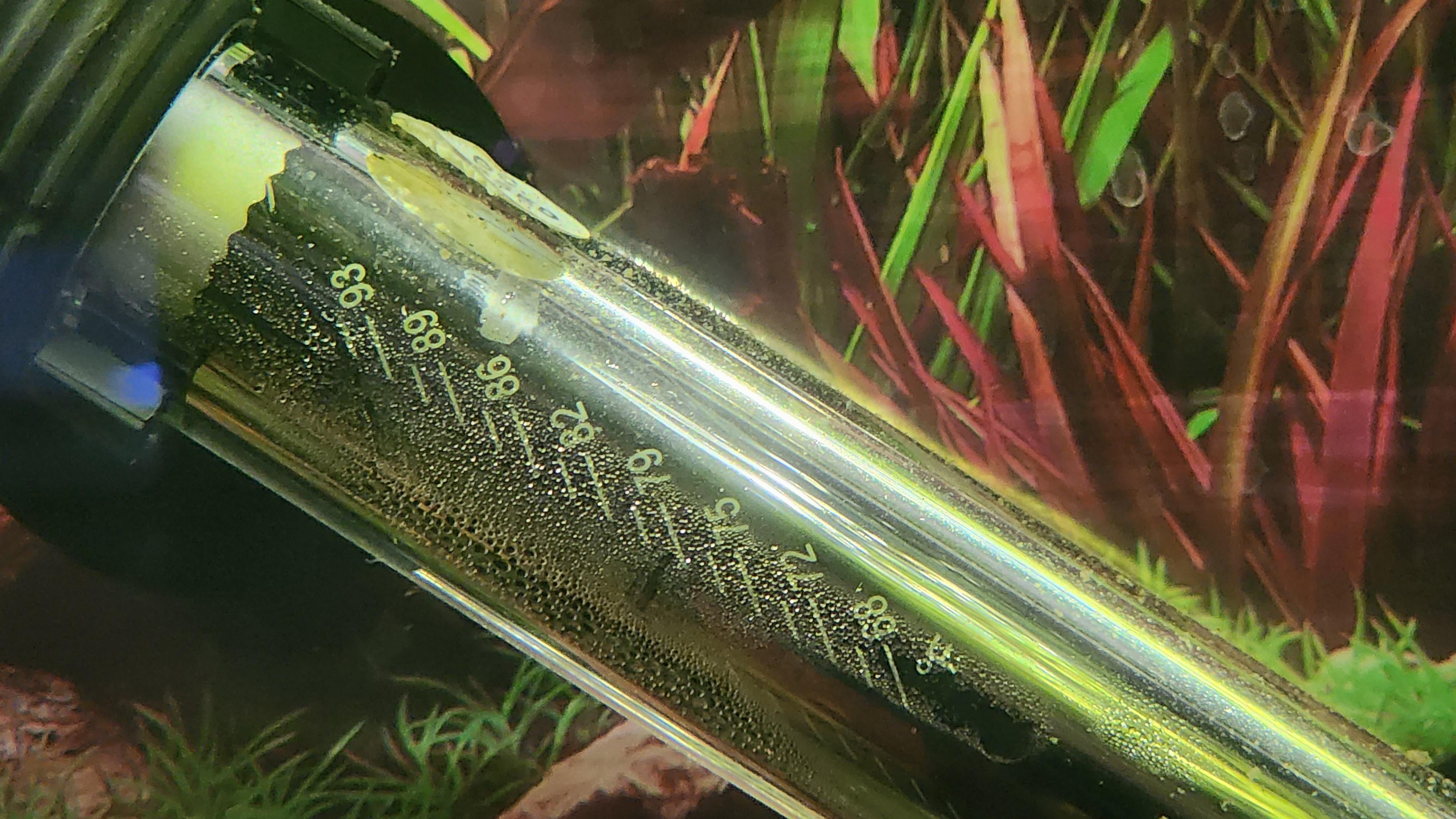 Heater has condensation inside? r/aquarium