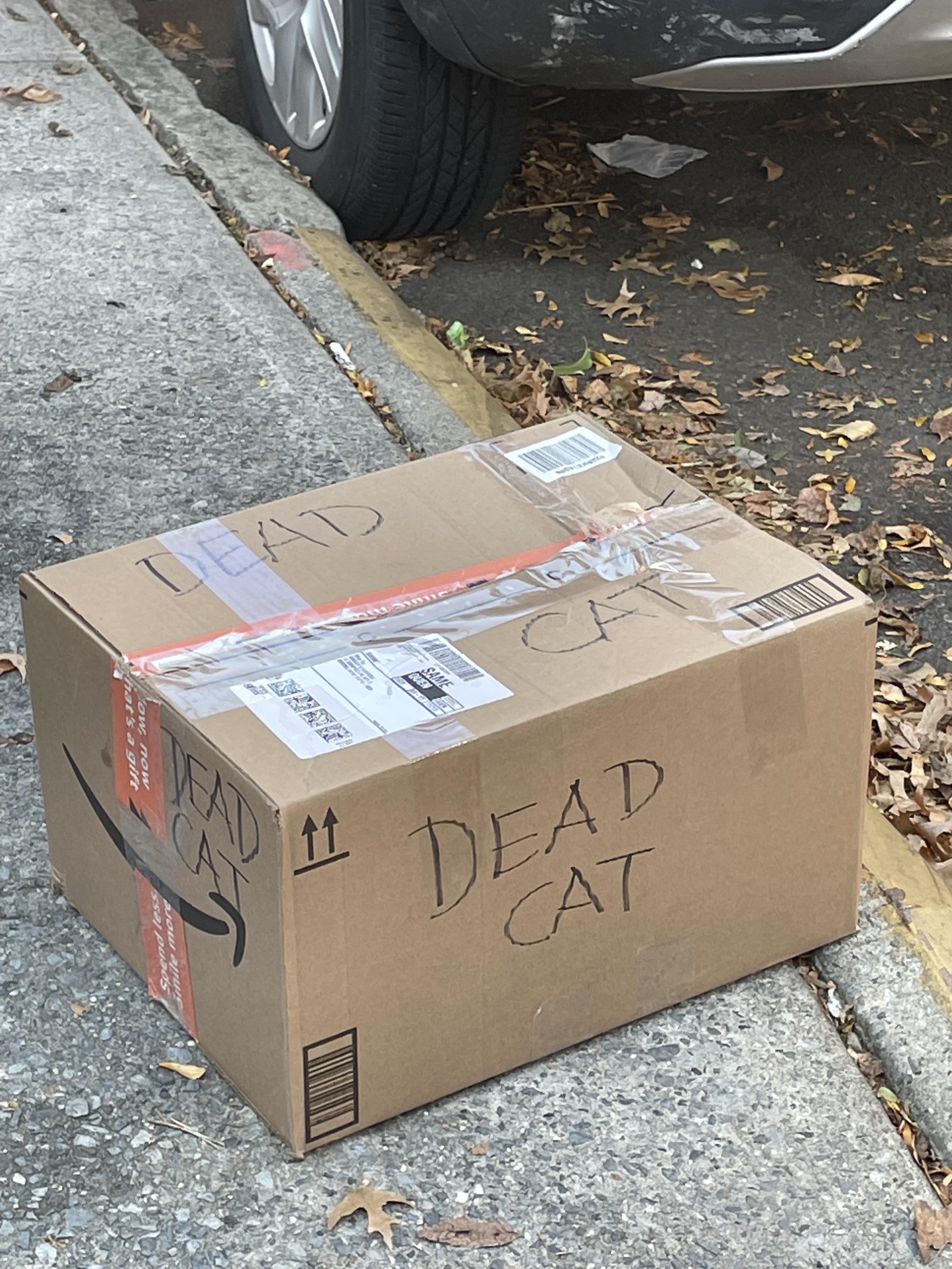 Amazon will sell anything these days. r/funny