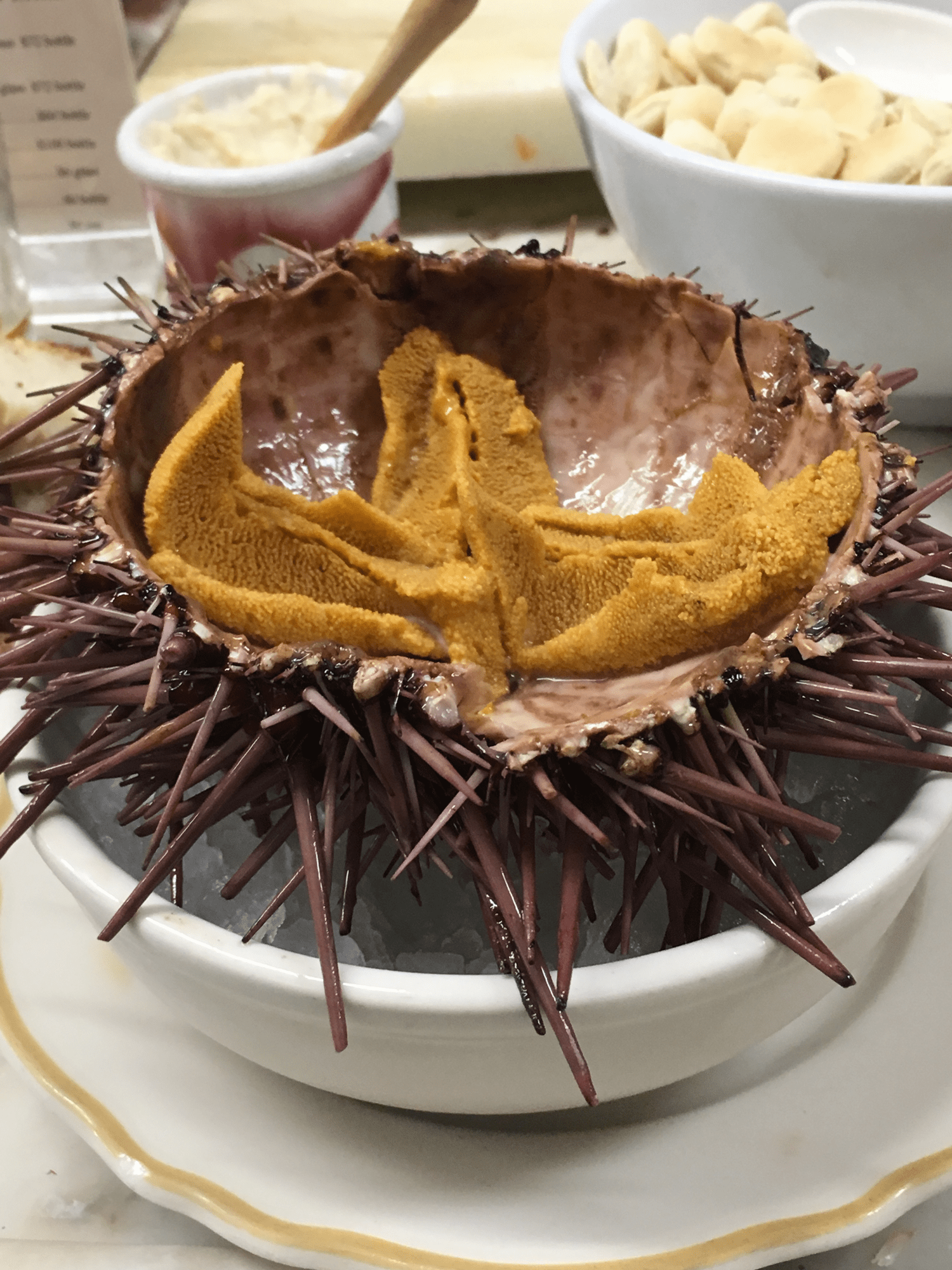 [I ate] Sea Urchin r/food