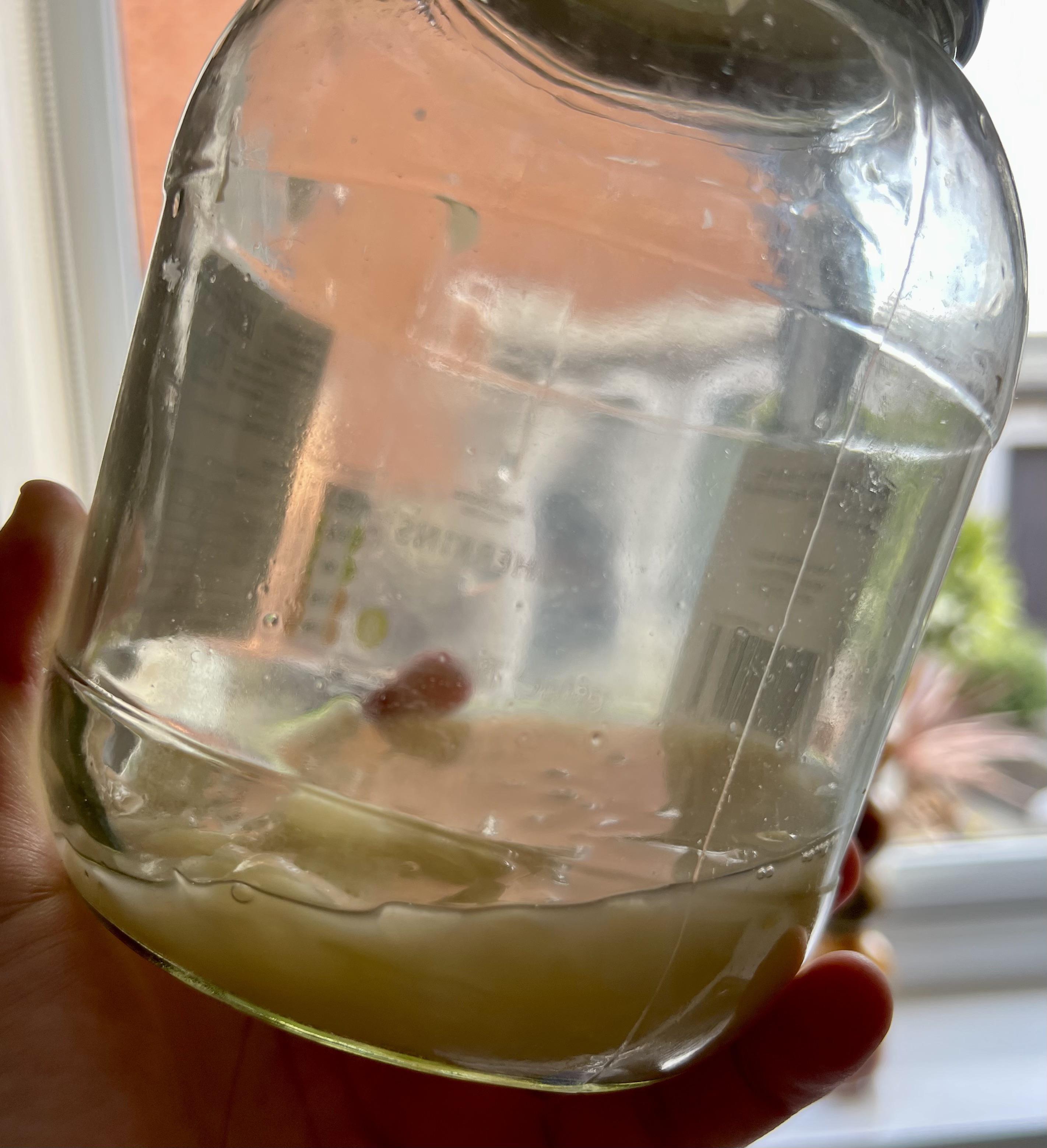 Can I reuse sauerkraut liquid to kickstart another batch? r/fermentation