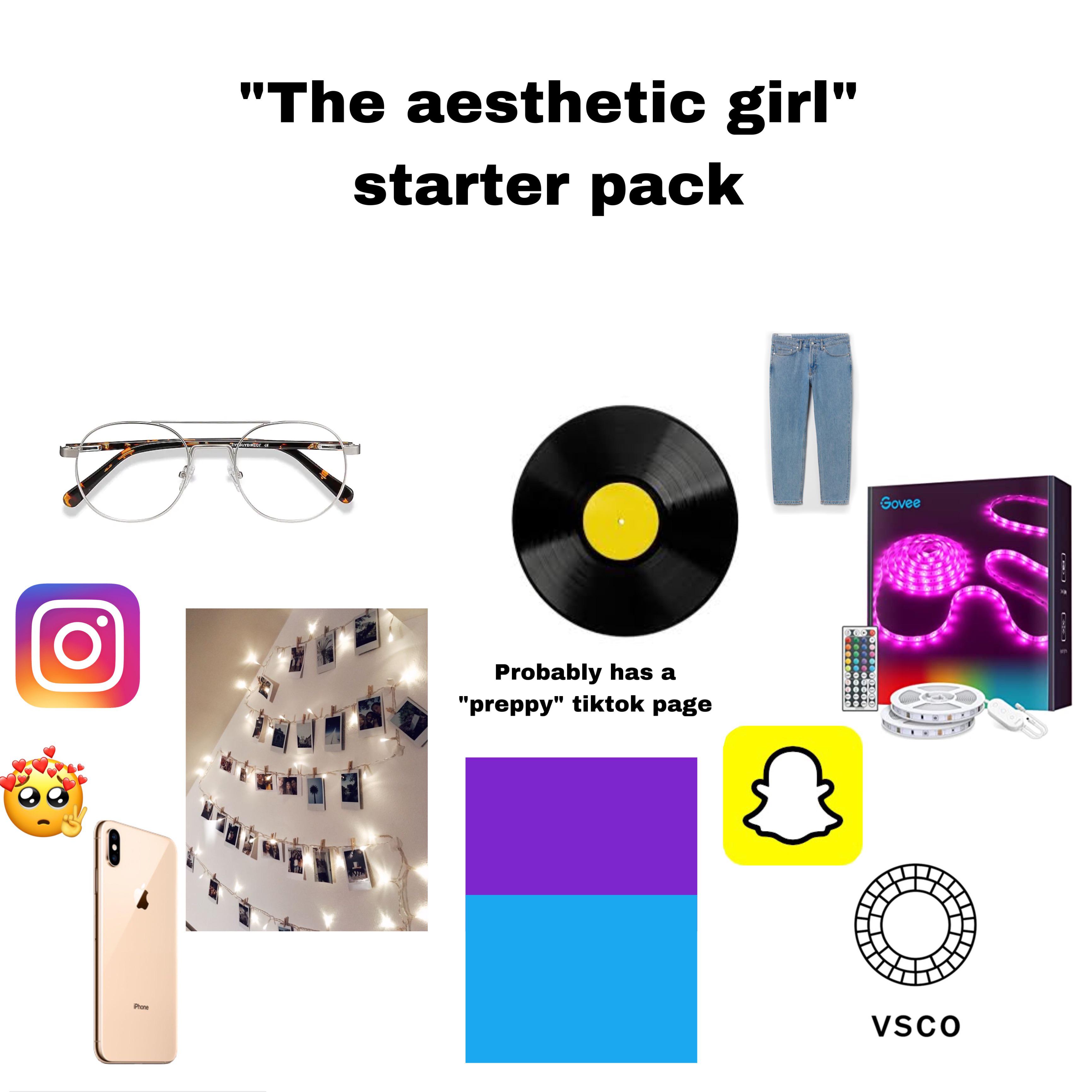 “The aesthetic girl” starter pack r/starterpacks
