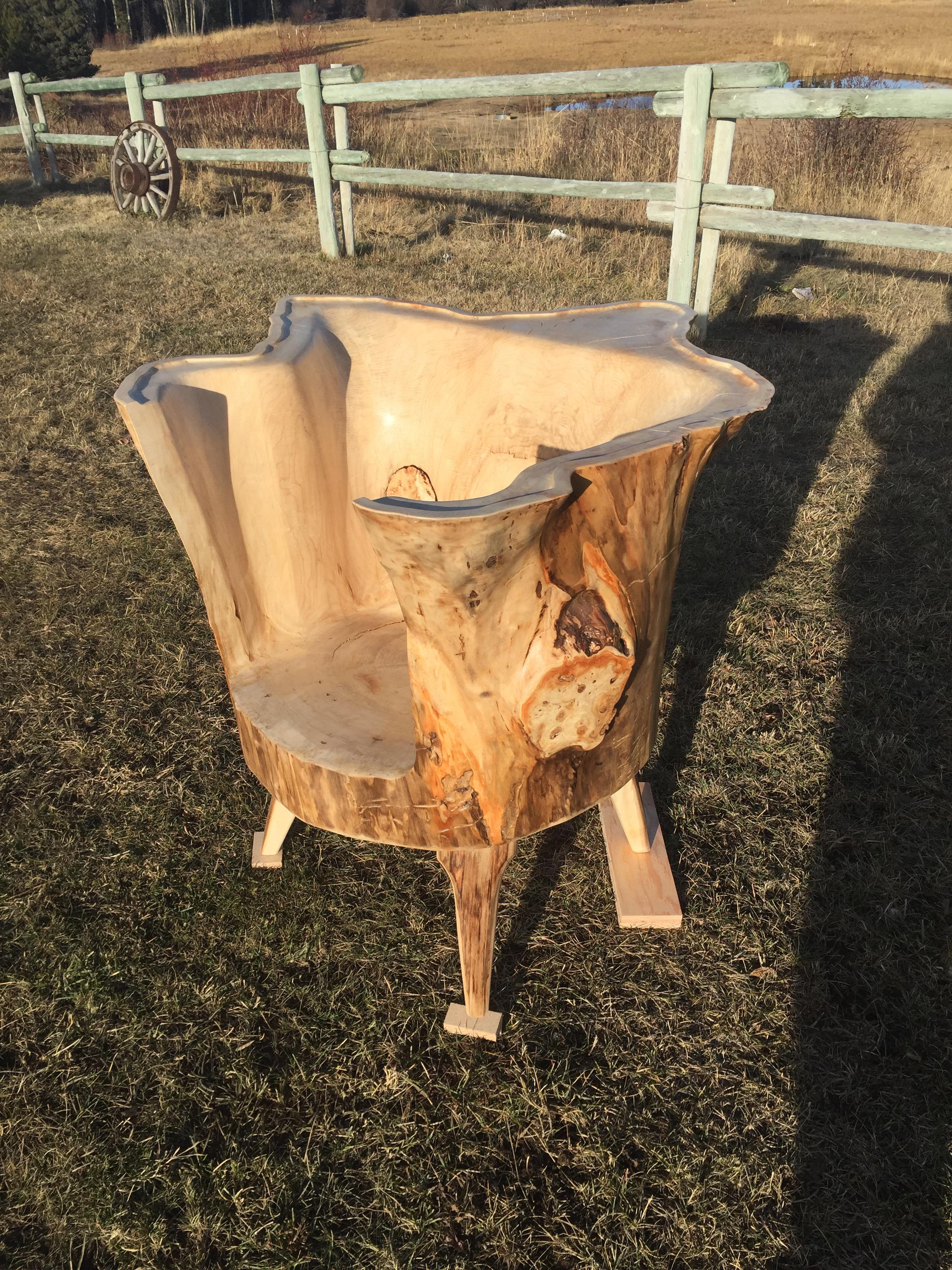 Stump chair I carved r/Woodcarving