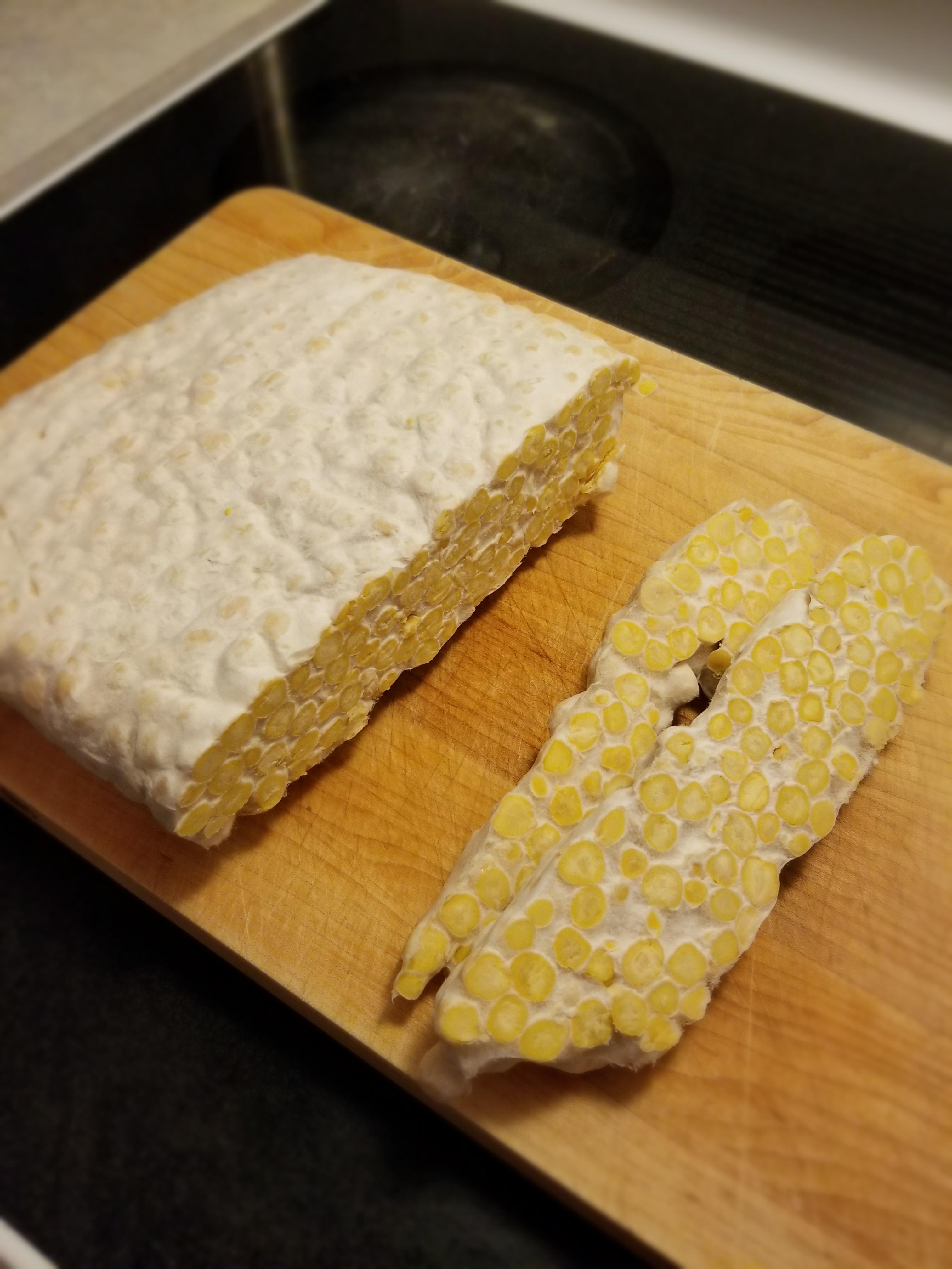 First time making Chickpea Tempeh turned out pretty good r/fermentation