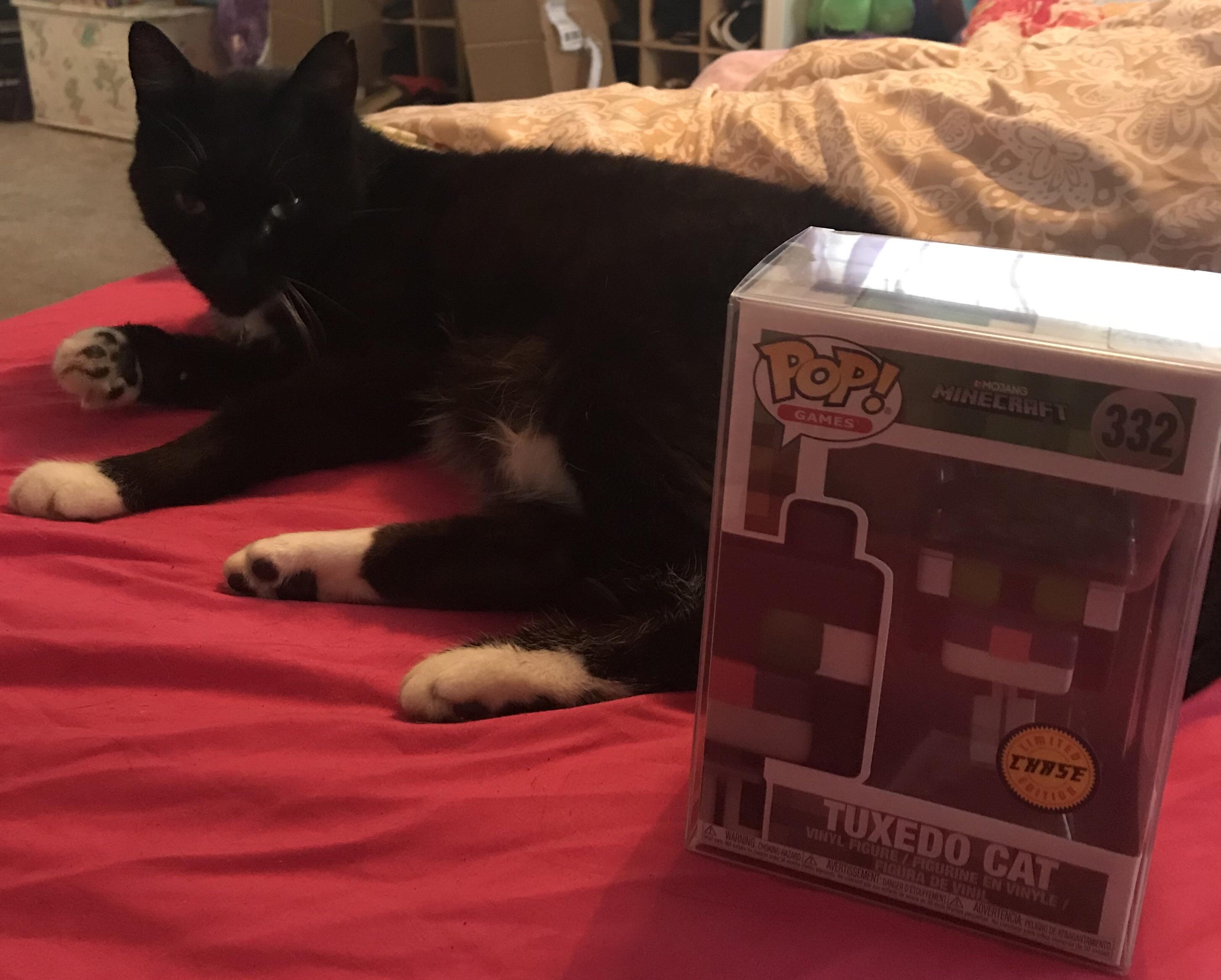 EbayGot my dapper kitty a twin! r/funkopop