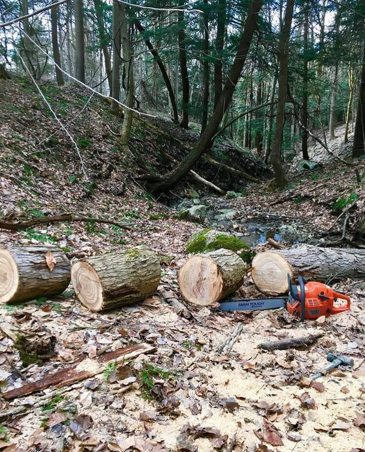 Saw of choice - Husqvarna 455 Rancher : r/firewood