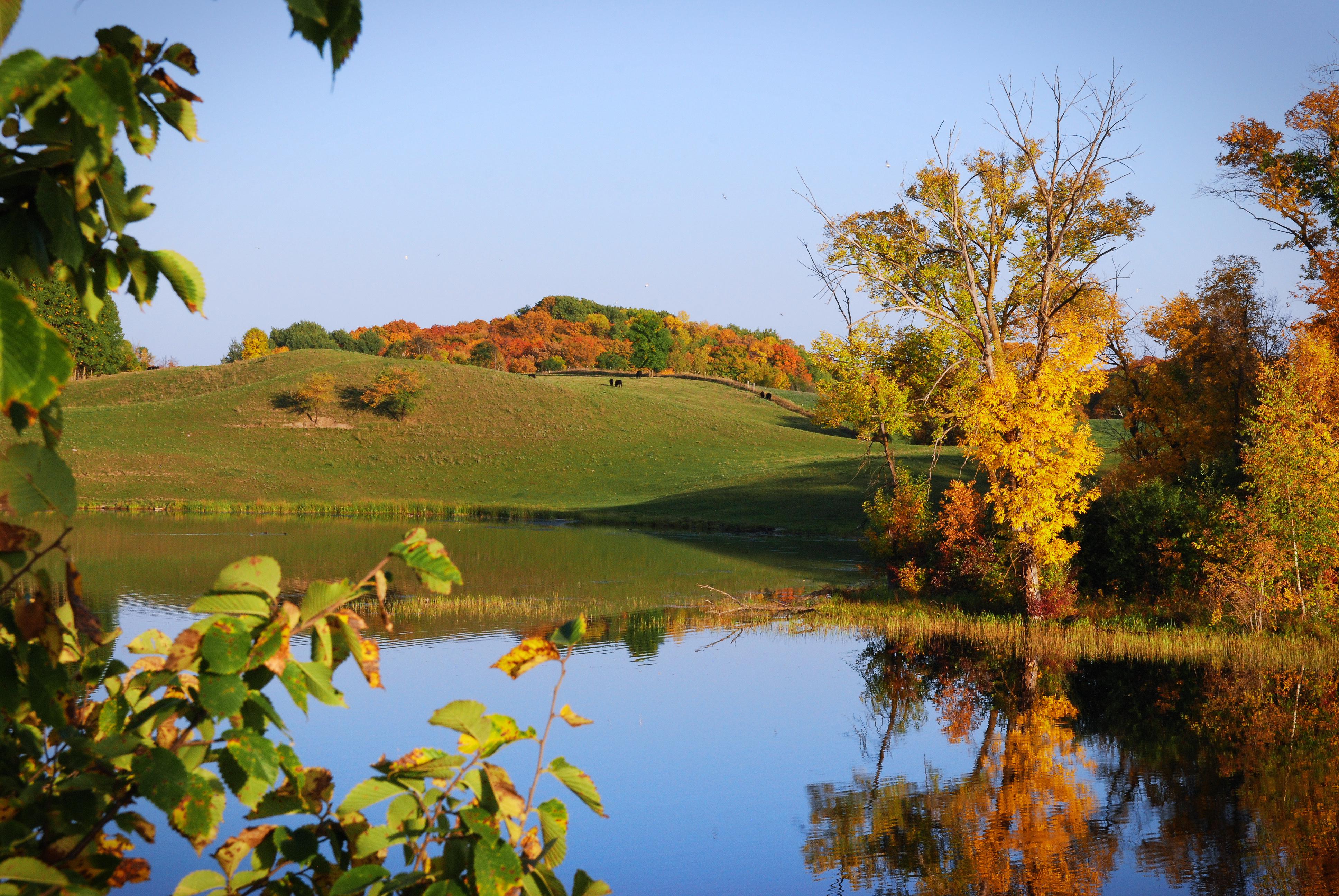Bright Fall day near Maplewood State Park r/minnesota