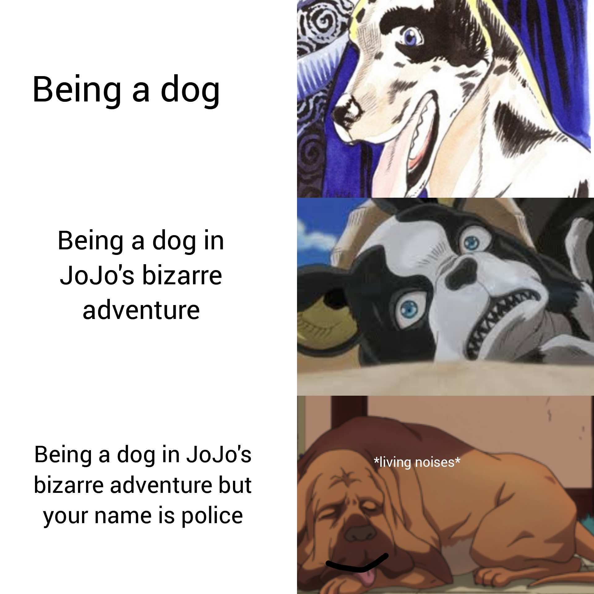 What Is Jojos Dogs Name