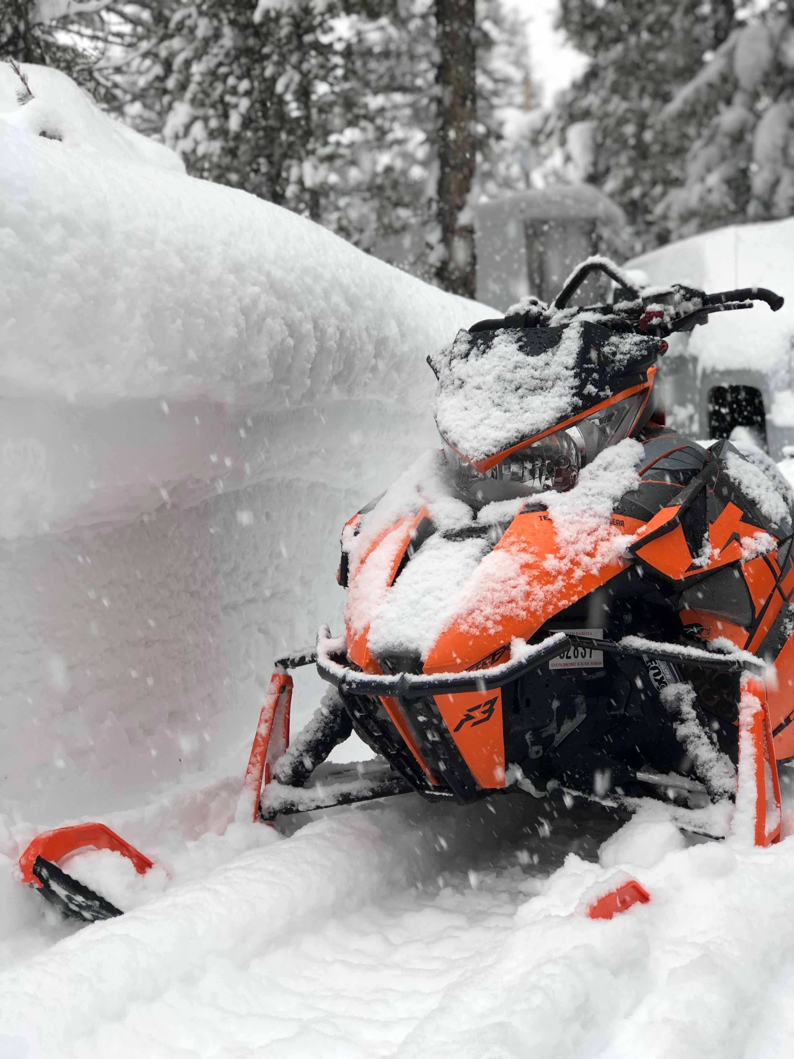 Island Park, Idaho....Cats may not like the water but they sure do like