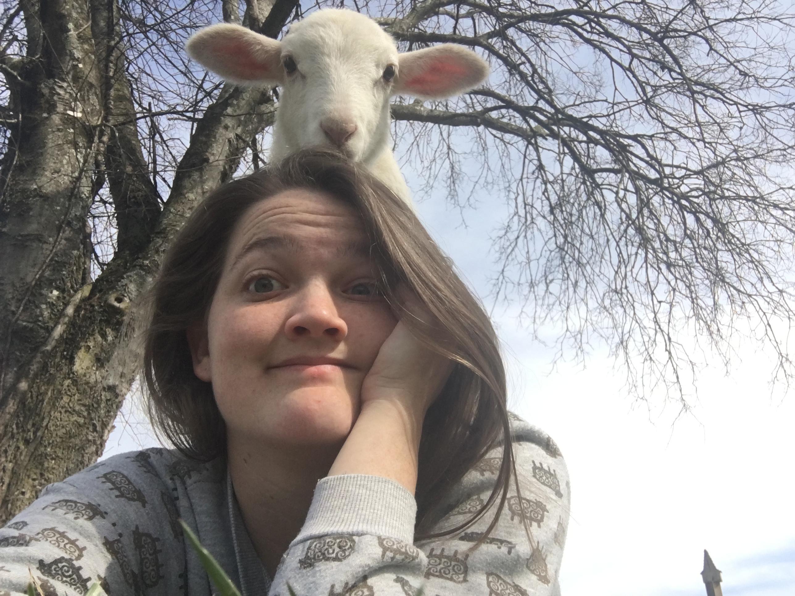 My new dog acts weird, jumps on me all the time. Please advise. r