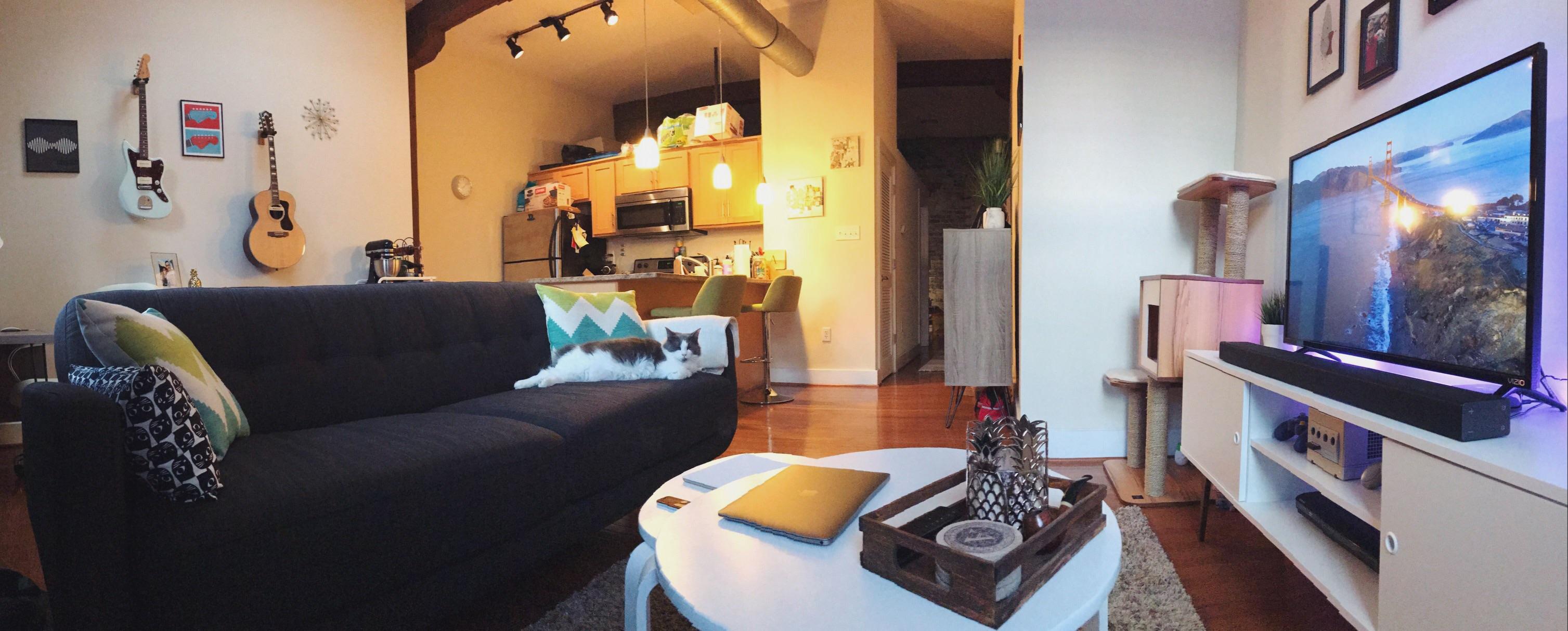 My MidCentury inspired living space in Richmond, Va. r/AmateurRoomPorn