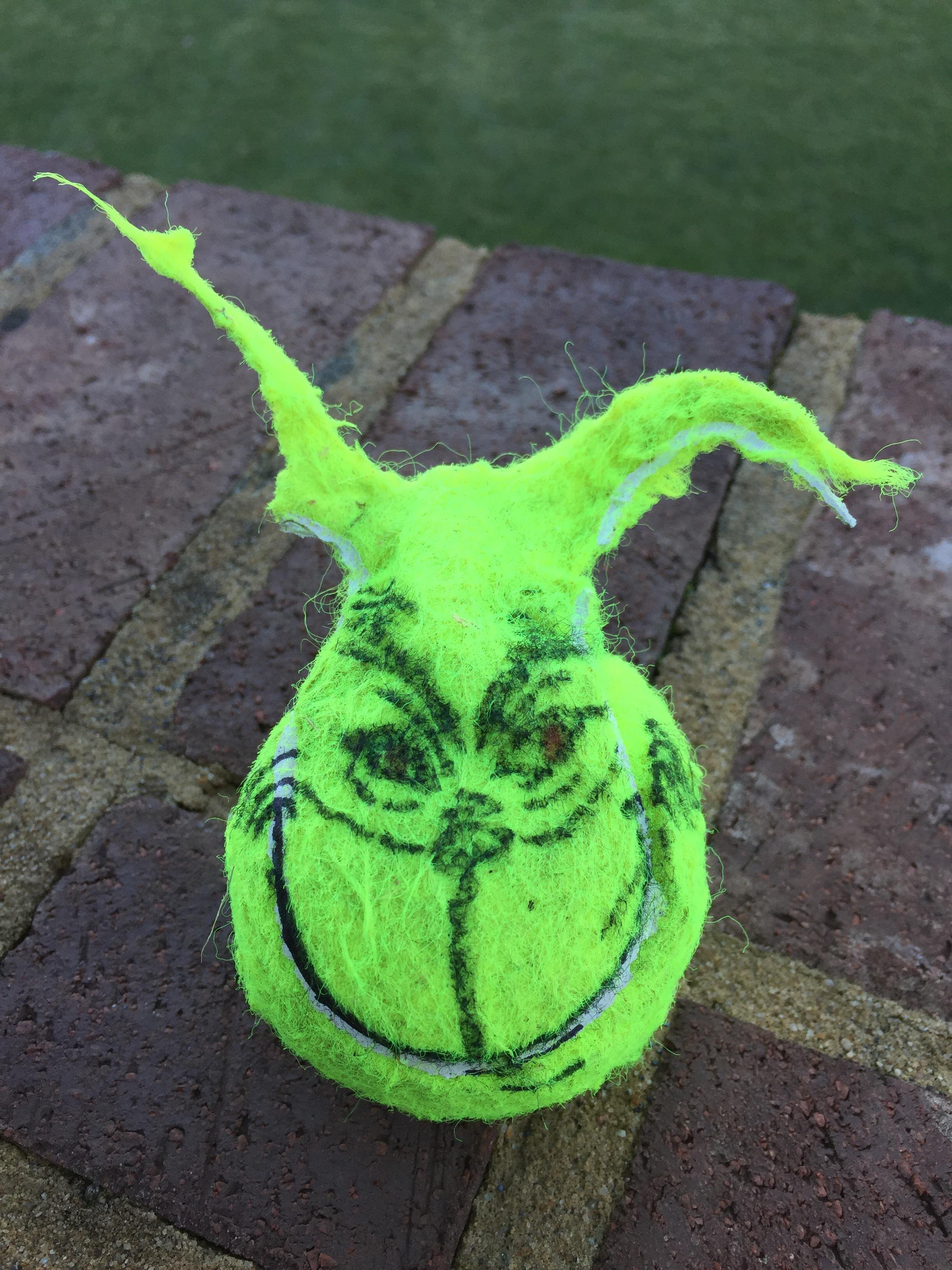 The way my parent’s dog chewed up this tennis ball looked like the