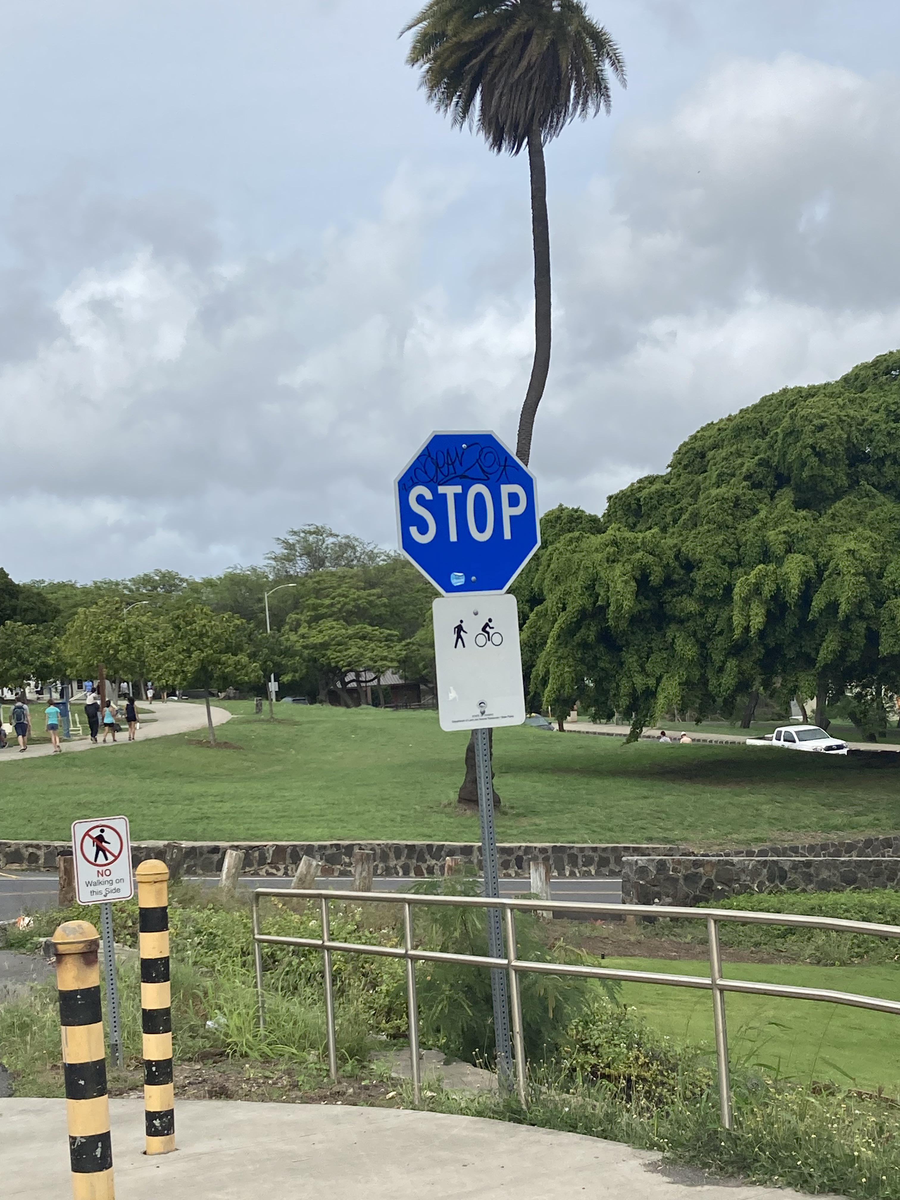 Blue stop sign in Hawaii r/mildlyinteresting