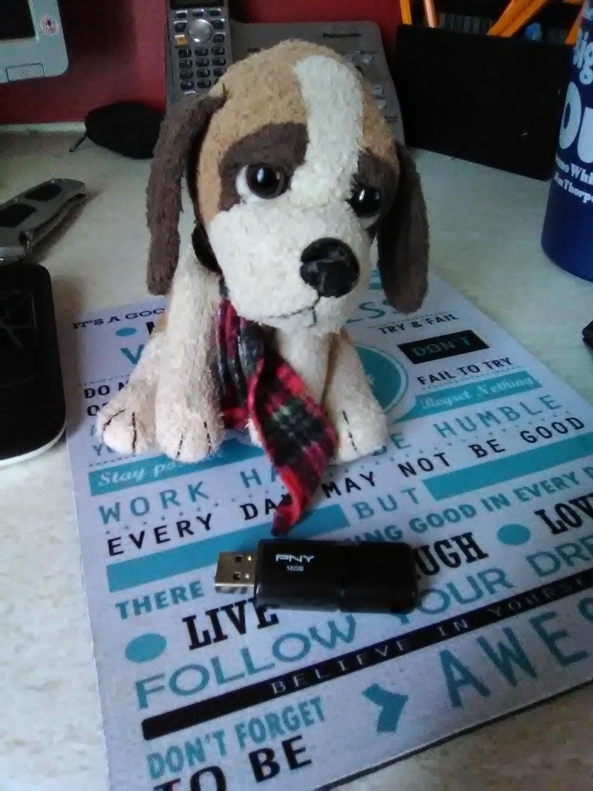 Whats this stuffed dug? r/whatisthisthing