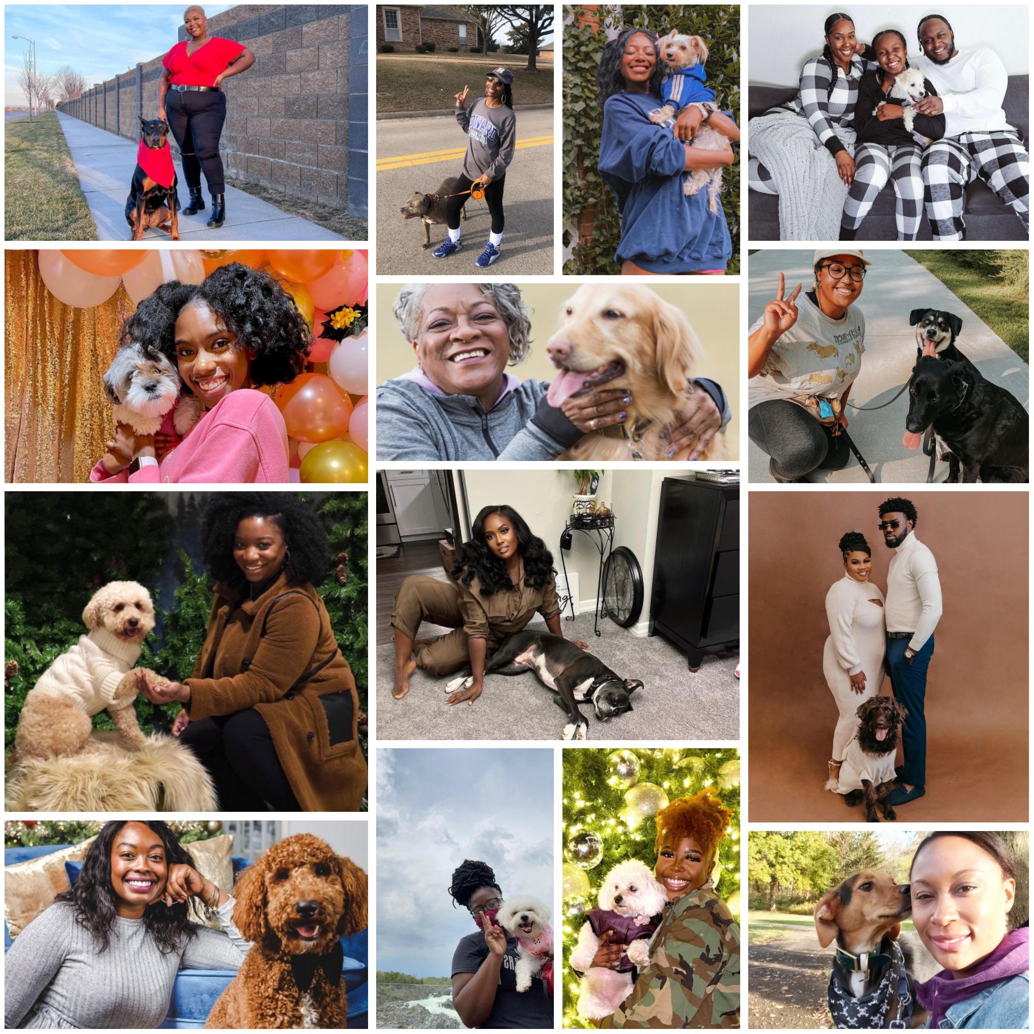 Reddit Dive into anything