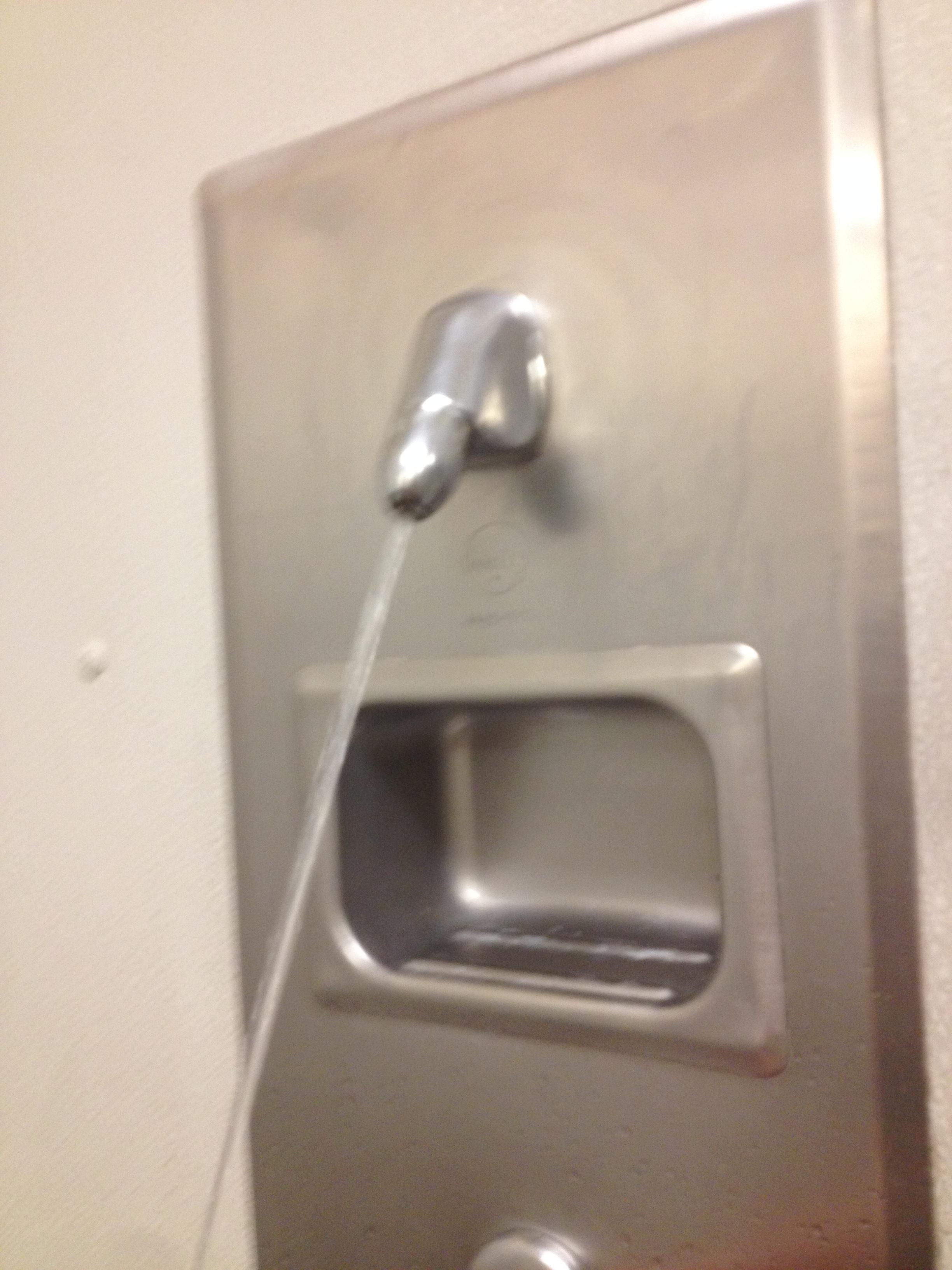 This showerhead in New Mexico, it even looks like its peeing r