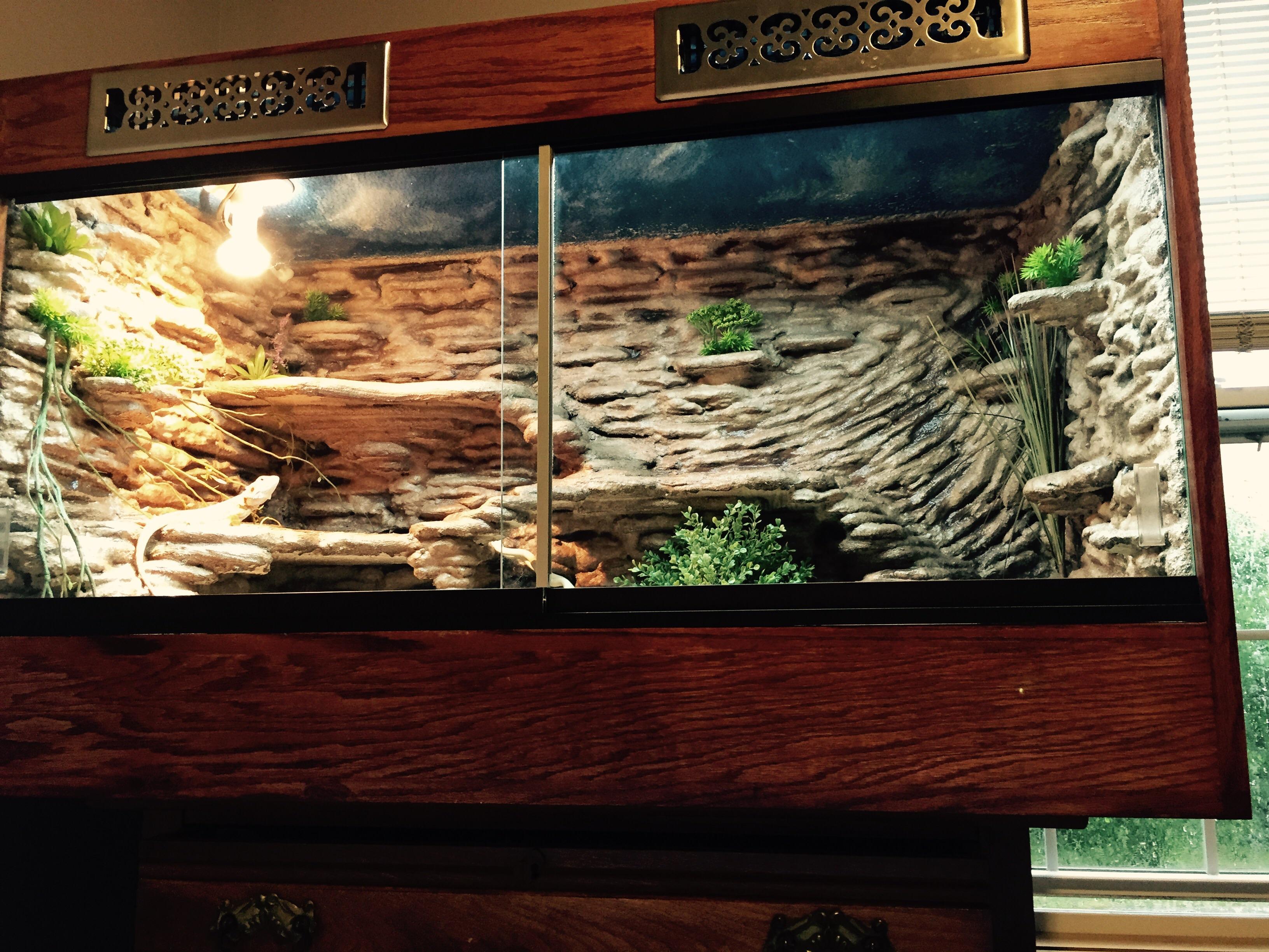 This is a custom homemade Terrarium. The whole process took around 3