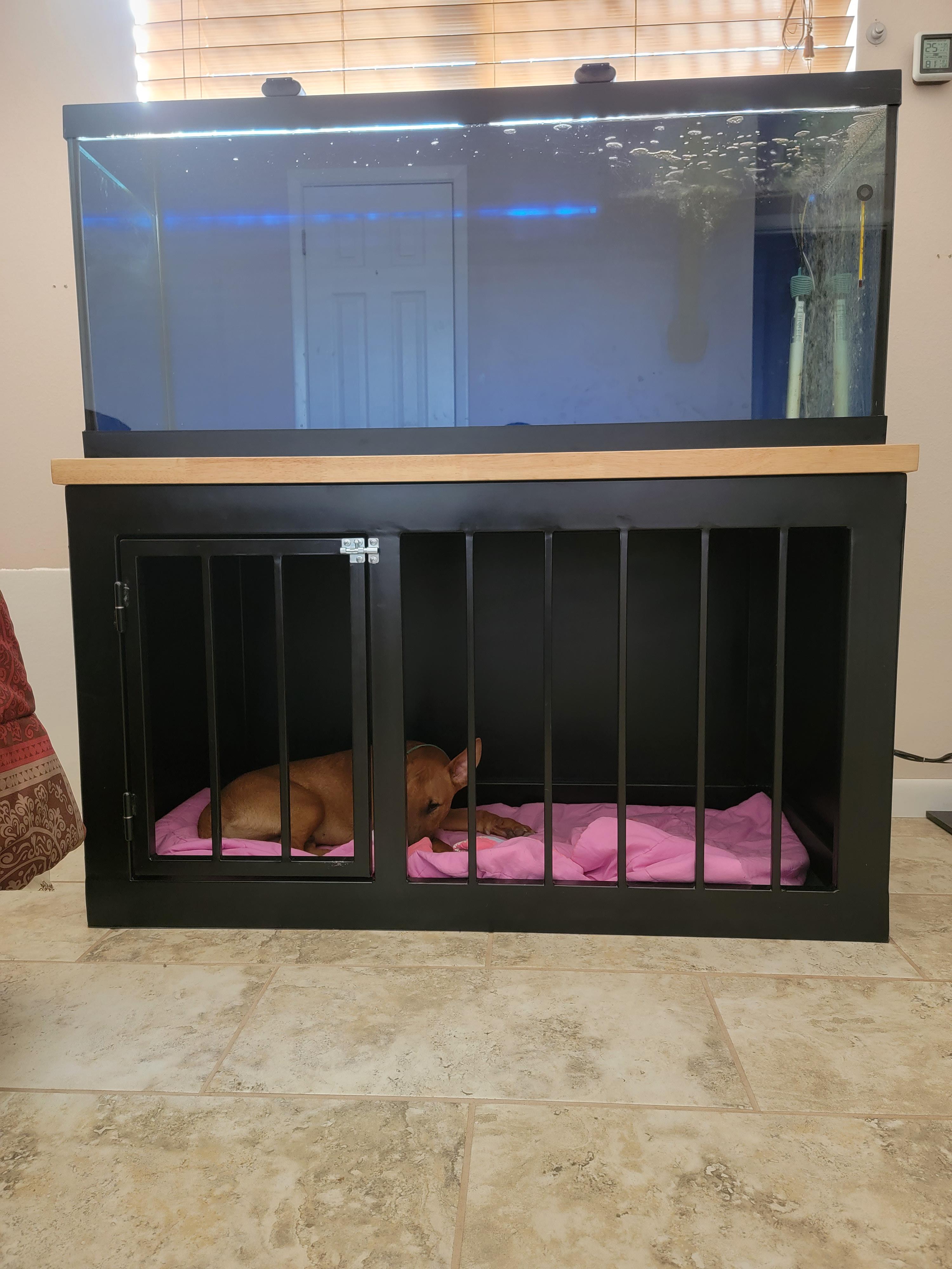 Built a custom dog crate/aquarium stand. Thoughts or mods to make this