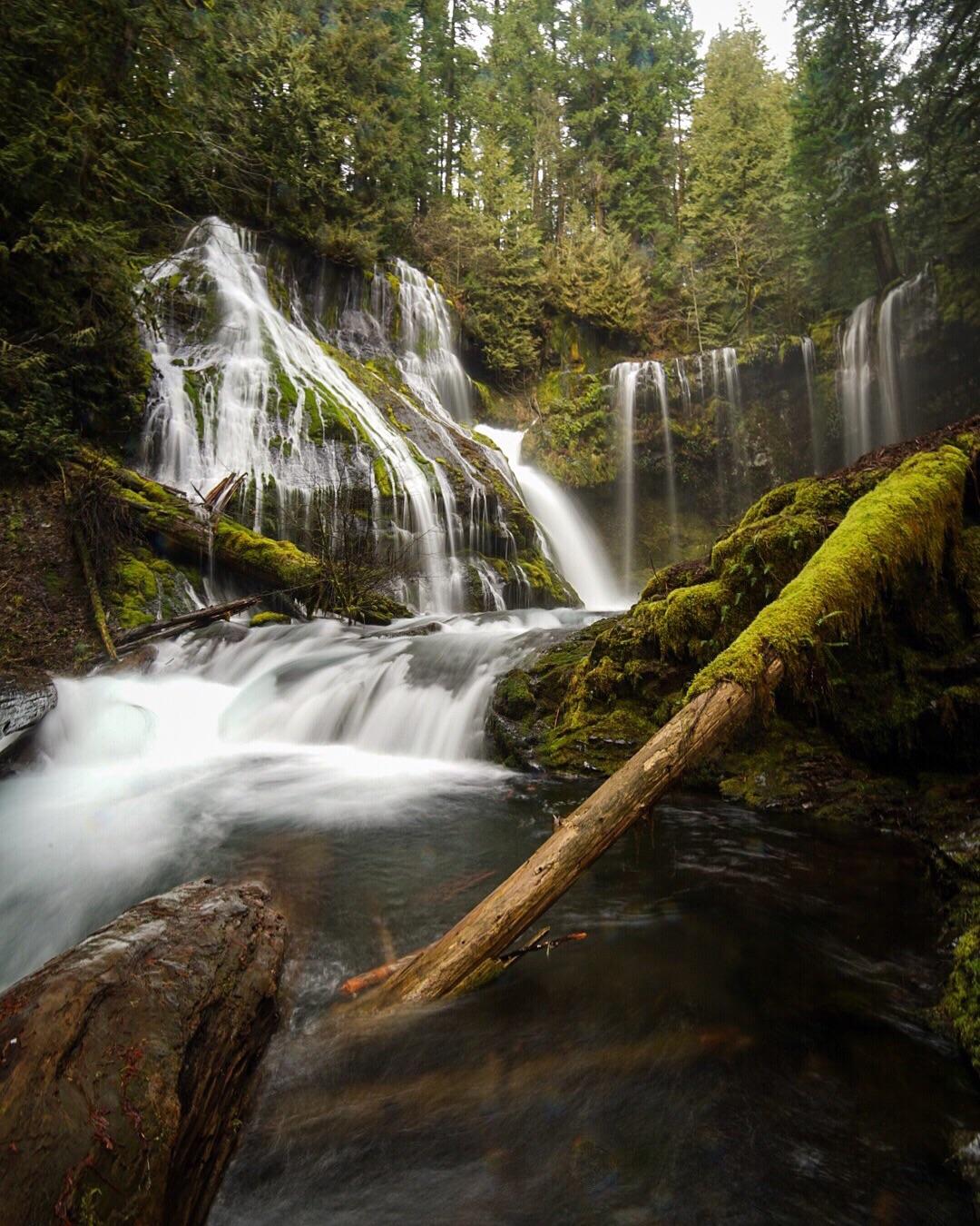 Fairy tale lane (a7ii w/ rokinon 14mm) r/SonyAlpha