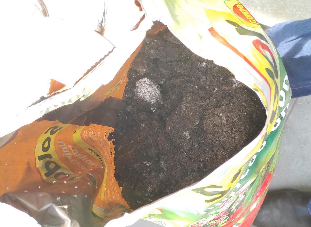 why is there mold in my bag of soil? it's been open for a few weeks r