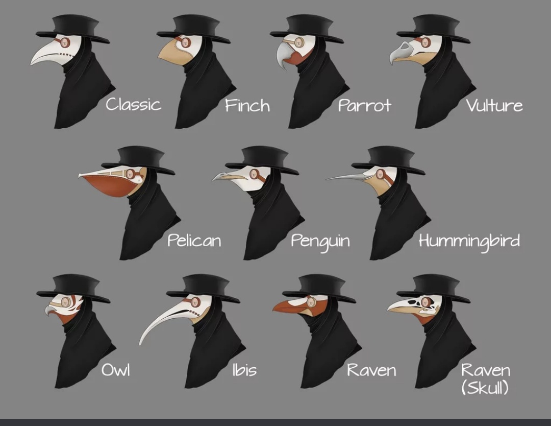 Plague Doctor masks based on different birds r/Damnthatsinteresting