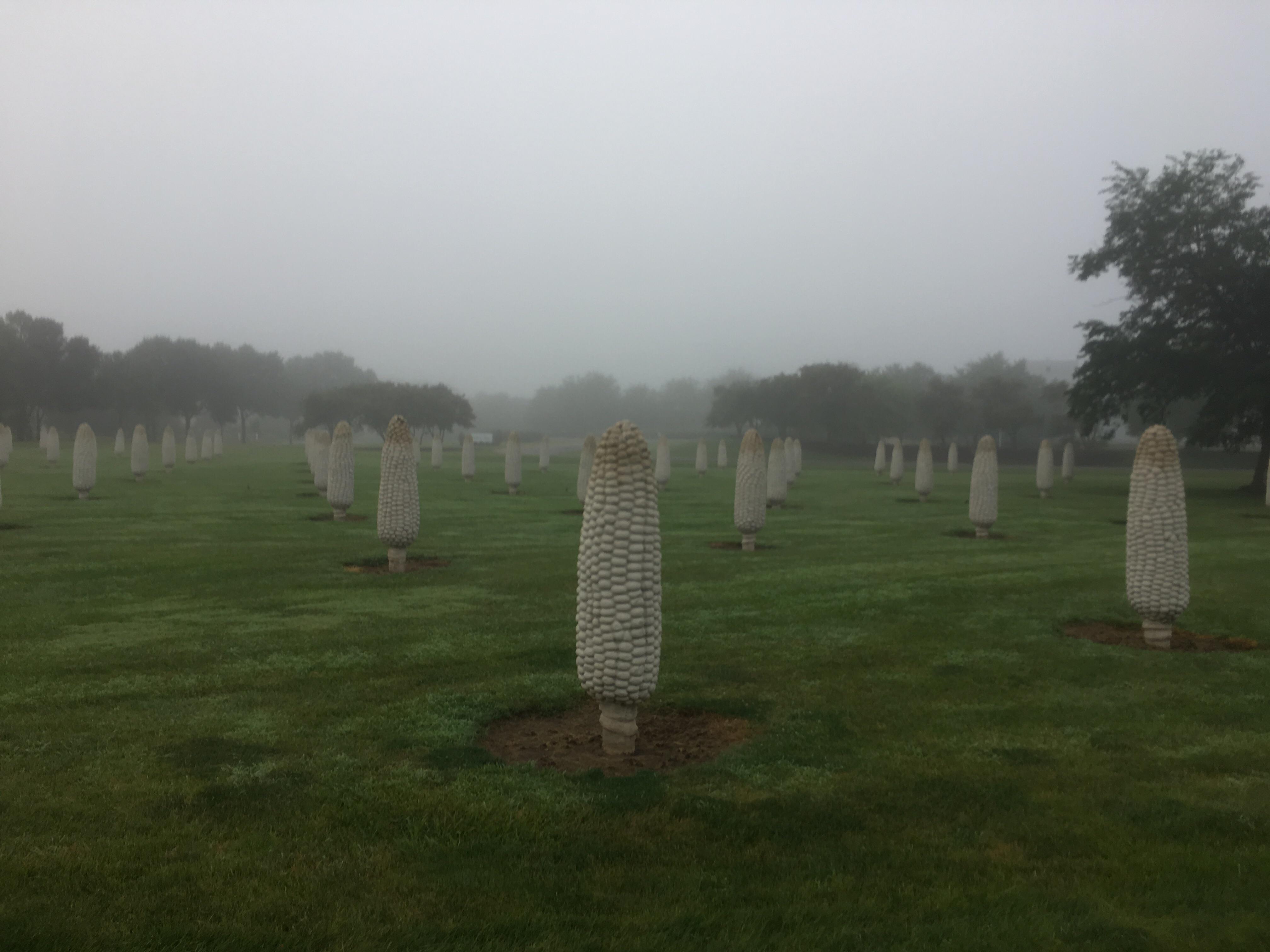 About the most Ohio thing out there a field of corn sculptures in